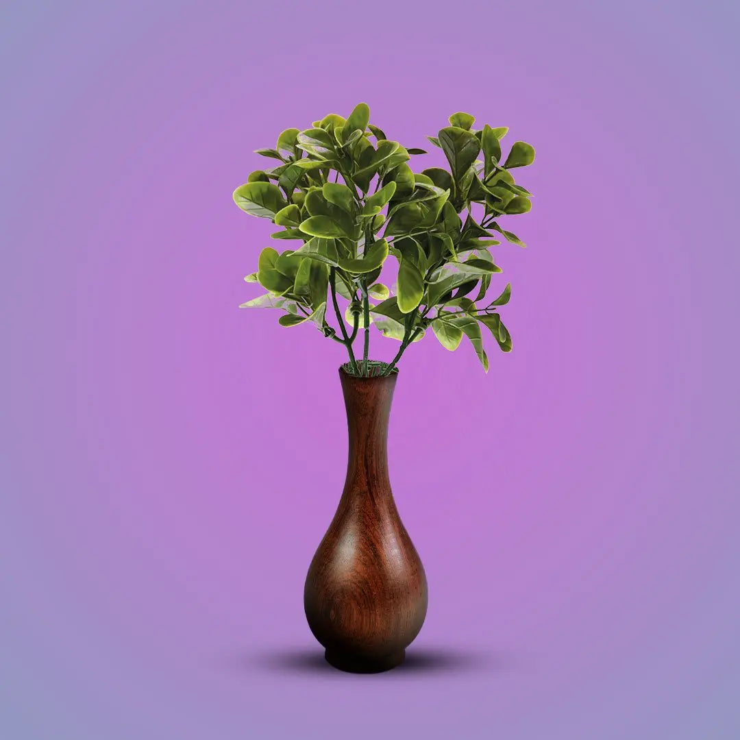 Jade Leaf Pot Plant | Pack of 3 My Store