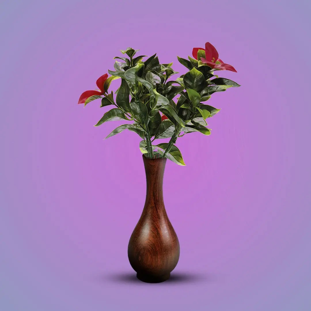 Gardenia Red Pot Plant | Pack of 3 My Store