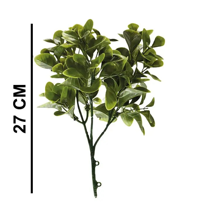 Jade Leaf Pot Plant | Pack of 3 My Store