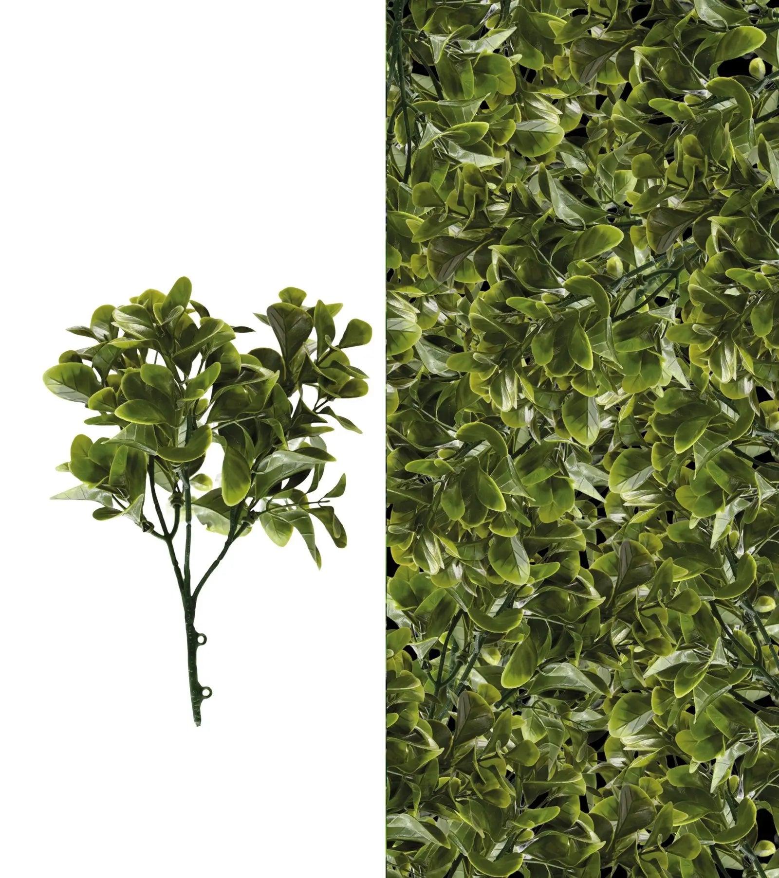 Jade Leaf Pot Plant | Pack of 3 My Store