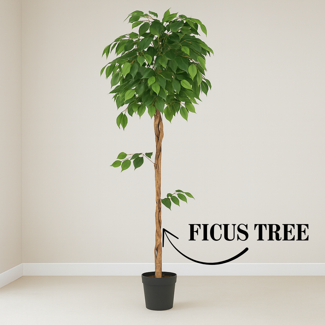 5 ft Artificial Ficus Plant | Realistic Indoor Green Tree Décor Enutrof Decor