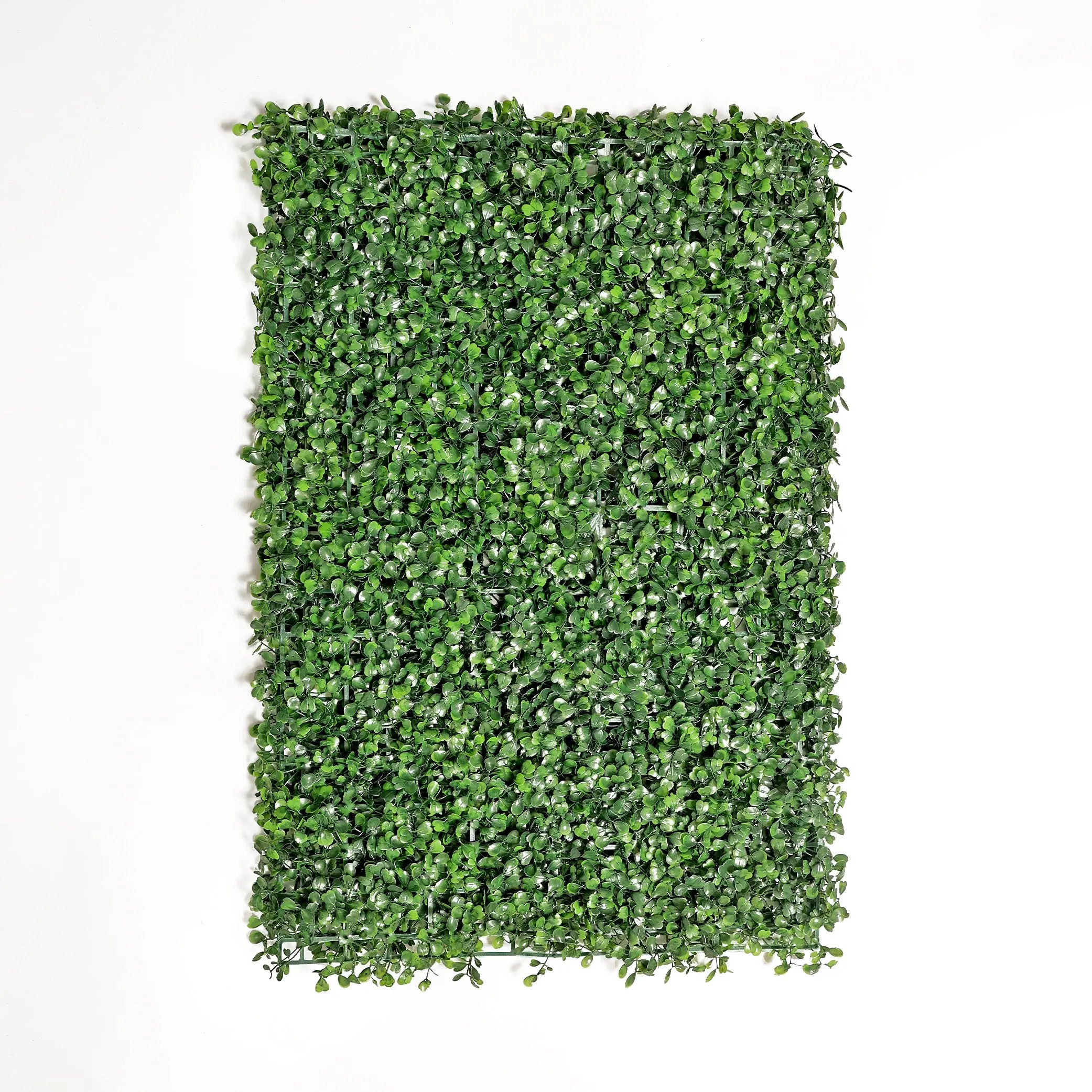 Glorius Emerald (40×60 cm) Enutrof Decor