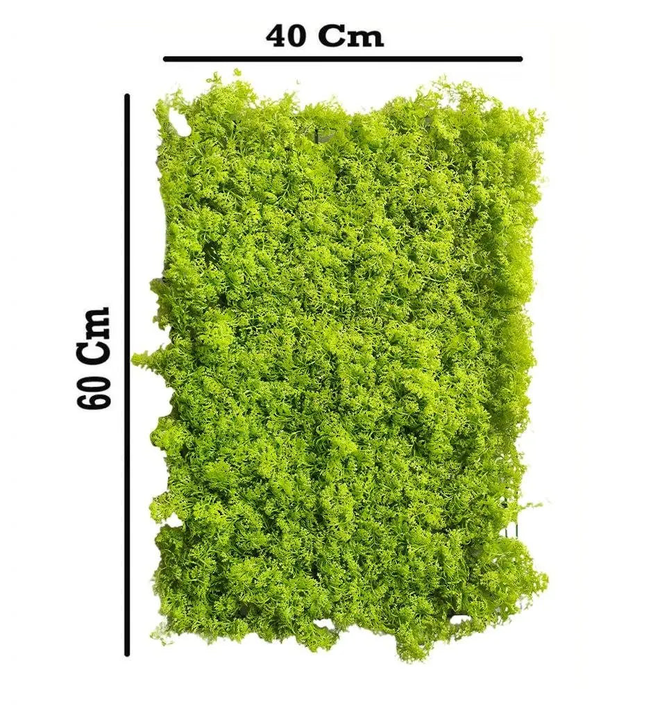Moss Artificial Wall Grass || Vertical Garden For Wall || Size: 40X60 Cm || 46/1|| My Store