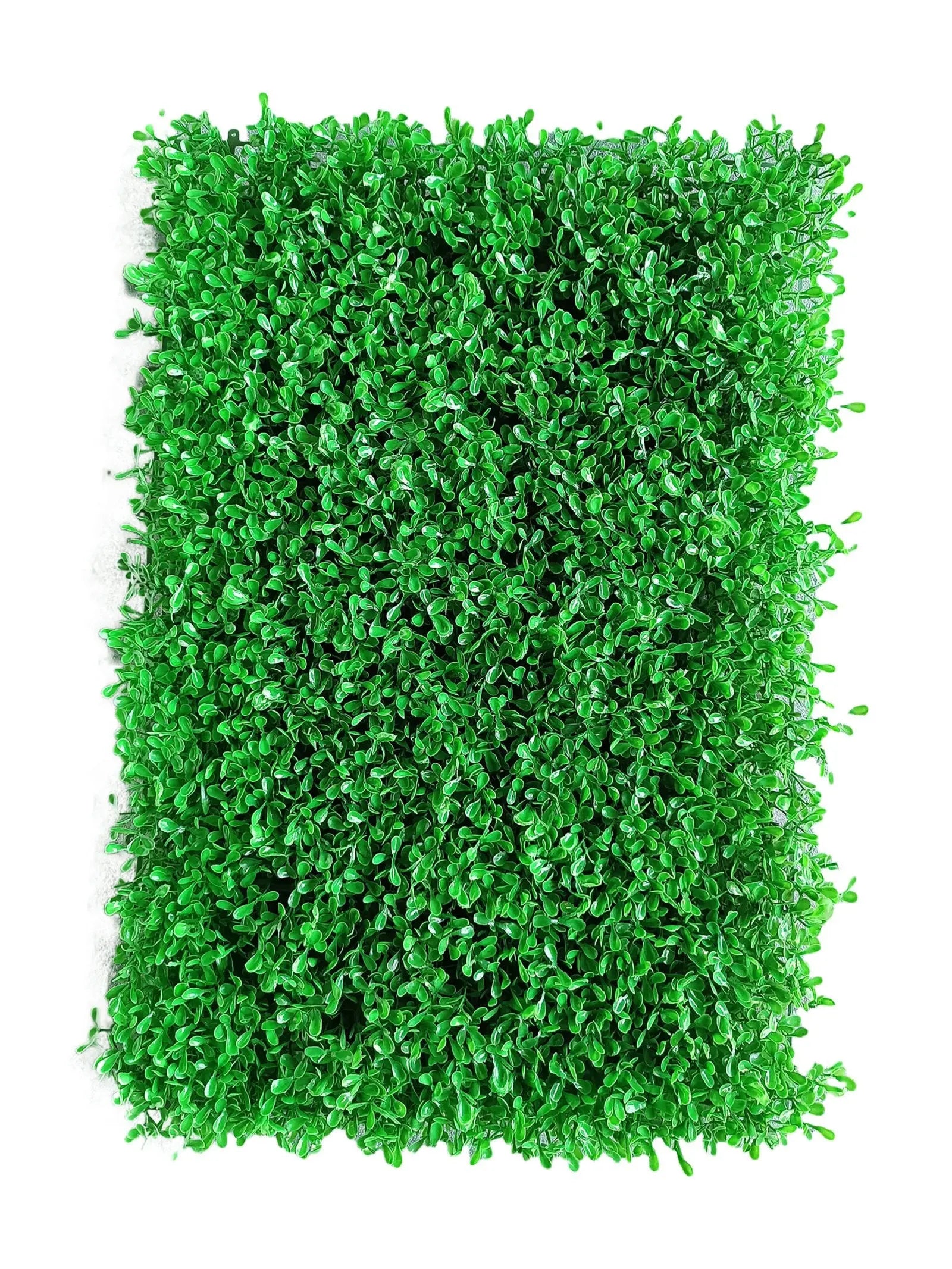 Green Wall Galaxy (40×60 cm) My Store