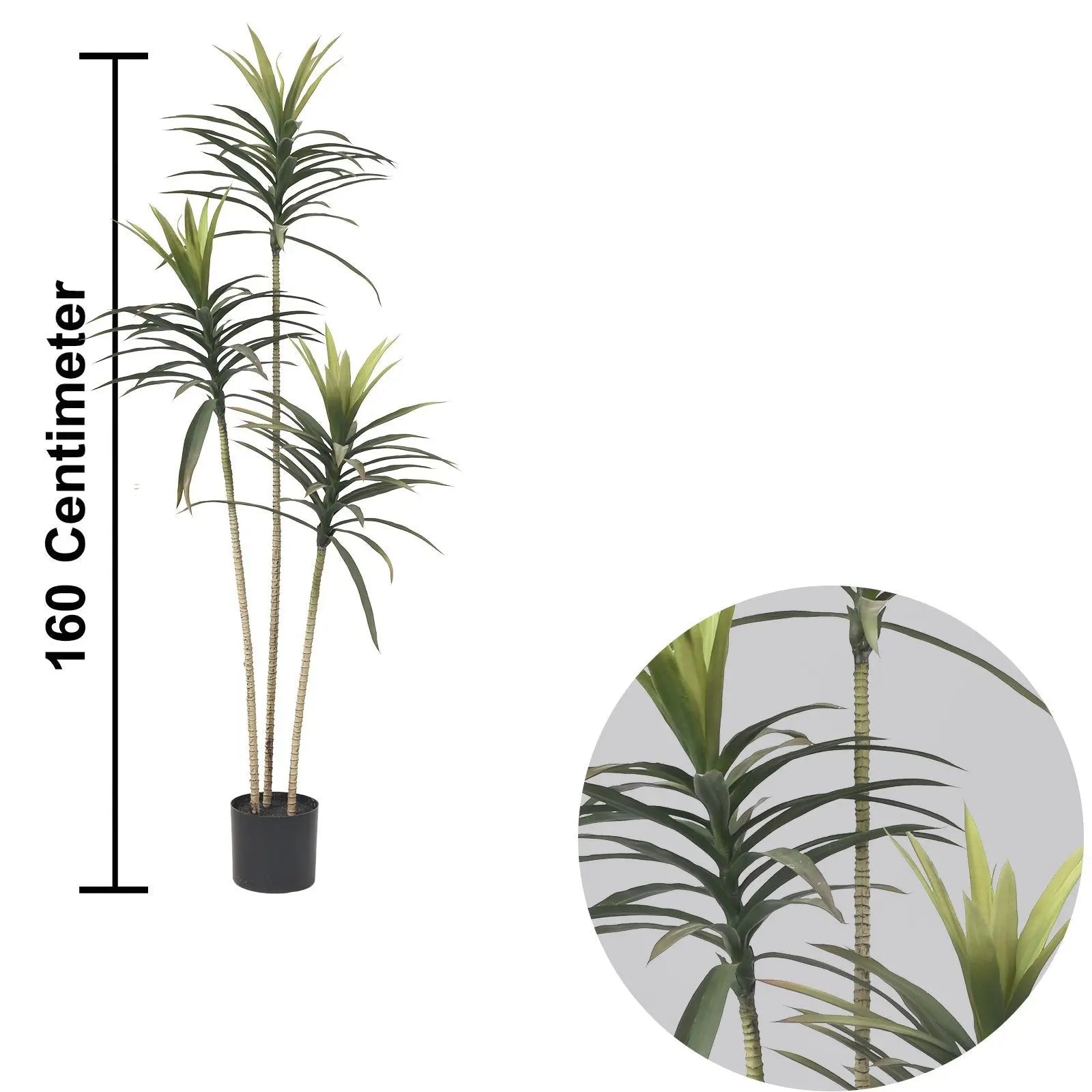 Enutrof Decor Yucca Tree (160 cm) My Store