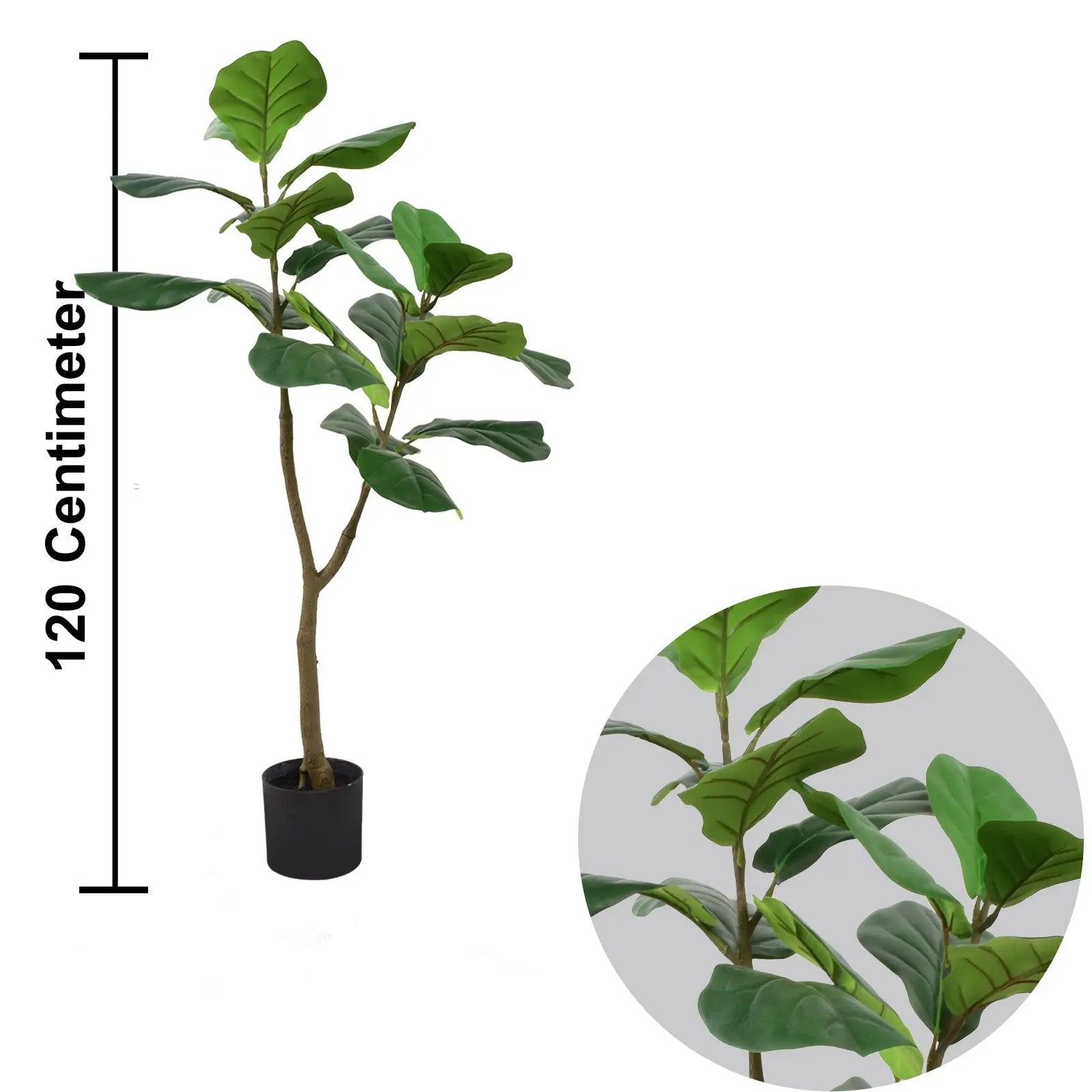 Fiddle Tree (120 CM) My Store