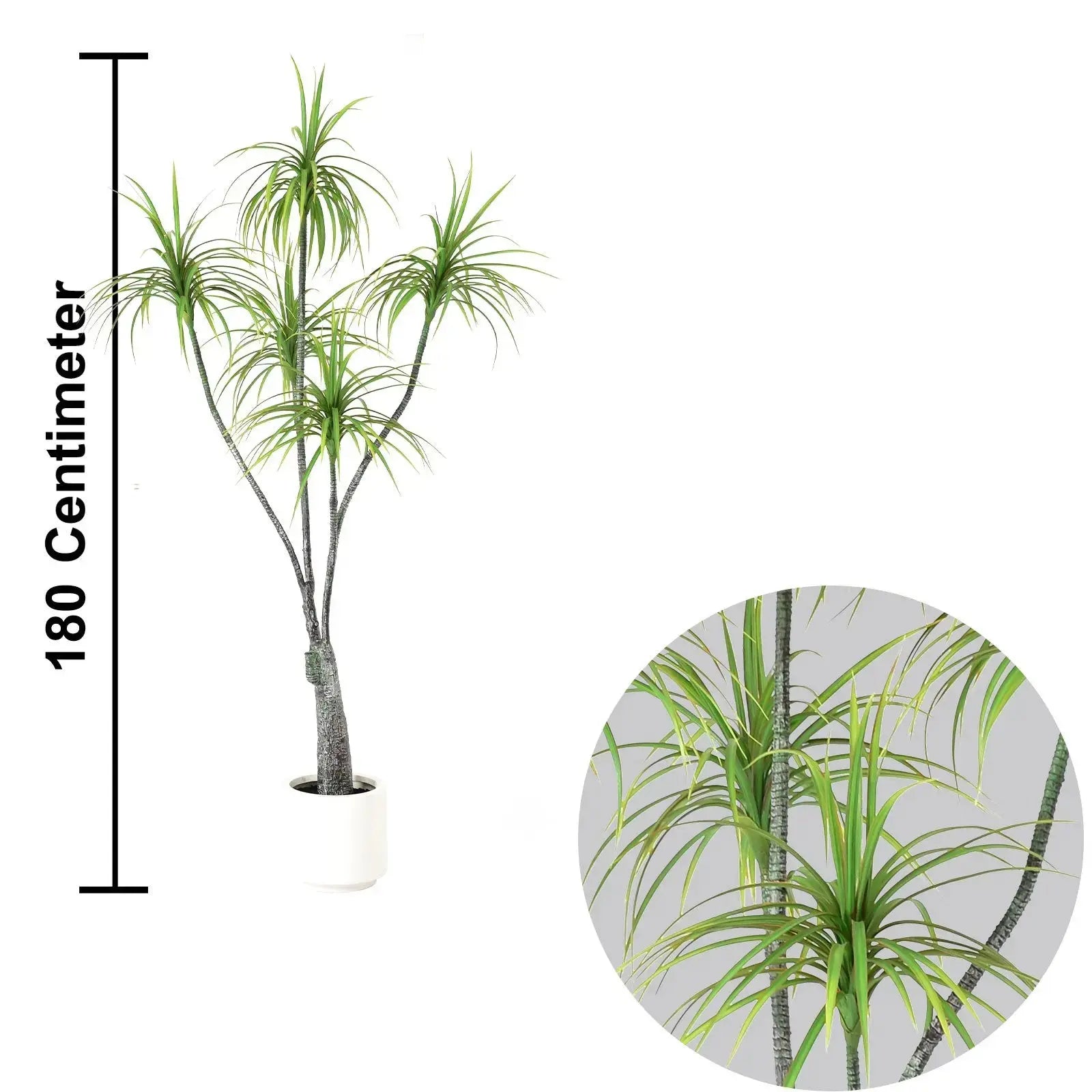 Artificial Iron Tree – 210 CM | Indoor Decorative Tree Enutrof Decor