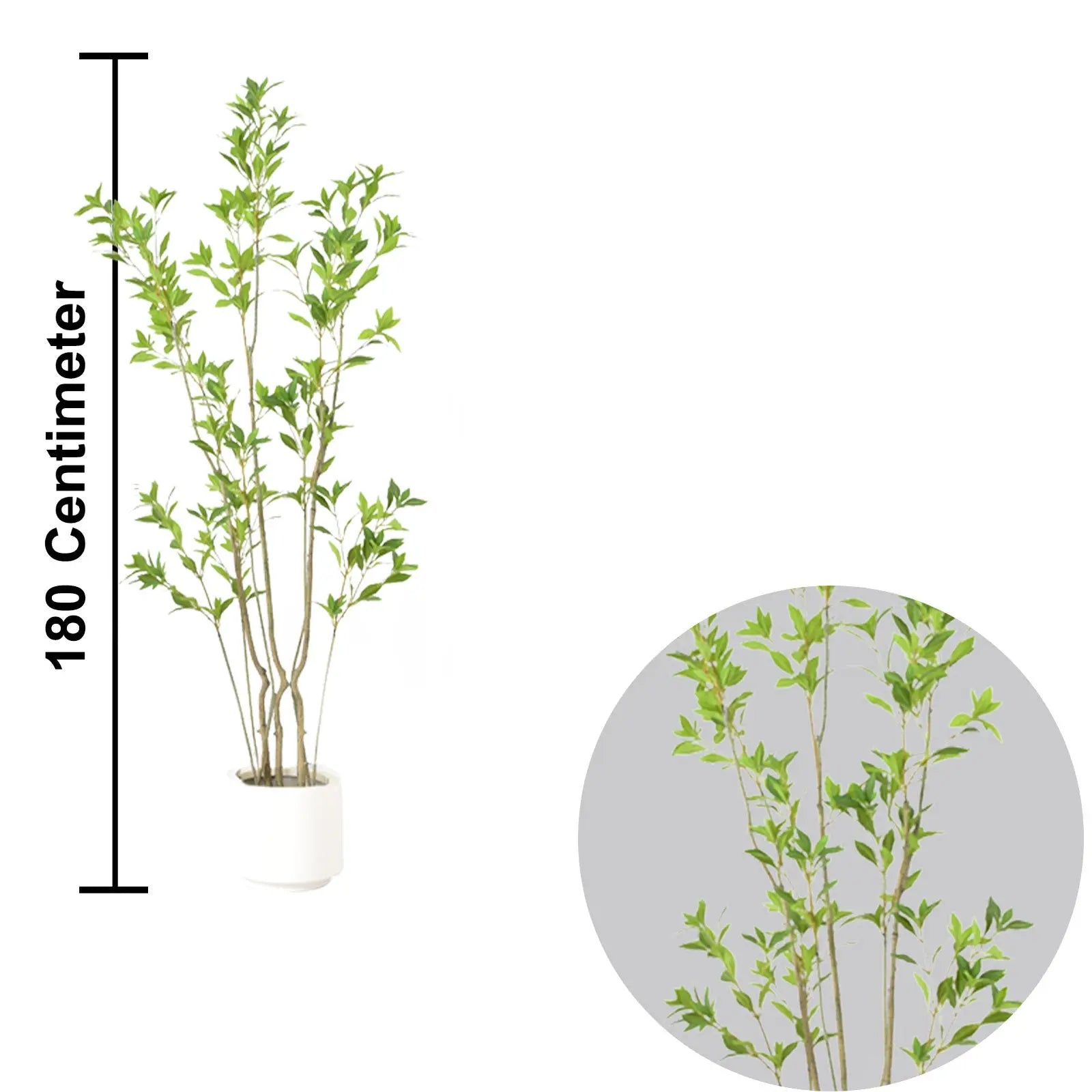 Pieris Artificial Plant – 180 CM | Indoor Decorative Green Plant Enutrof Decor