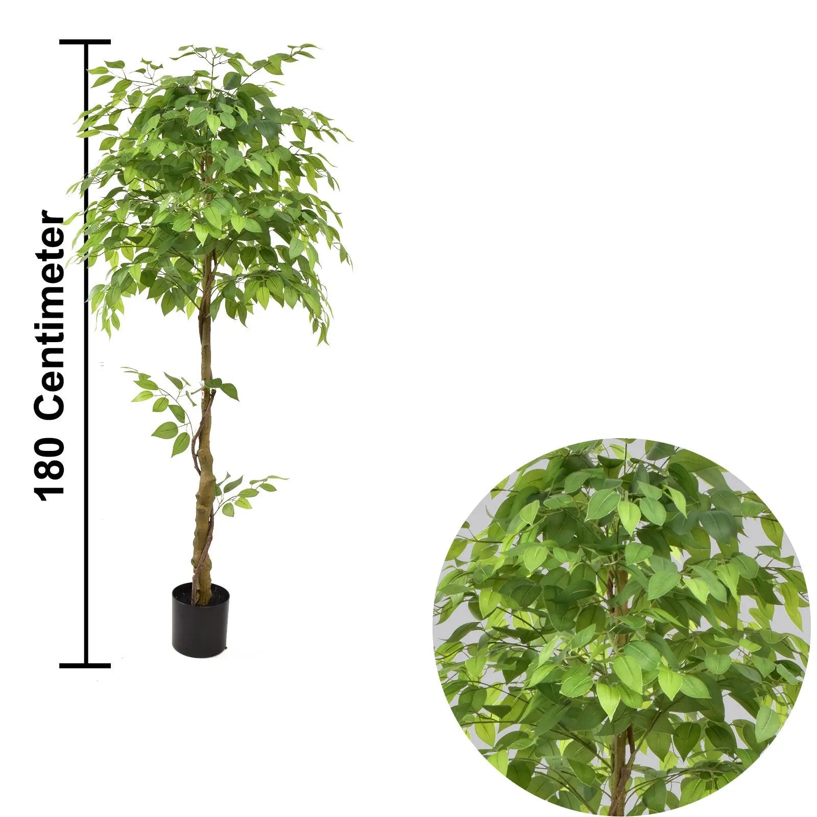 Premium 6ft Artificial Ficus Tree – Lifelike Indoor Decorative Plant (180 cm) Enutrof Decor