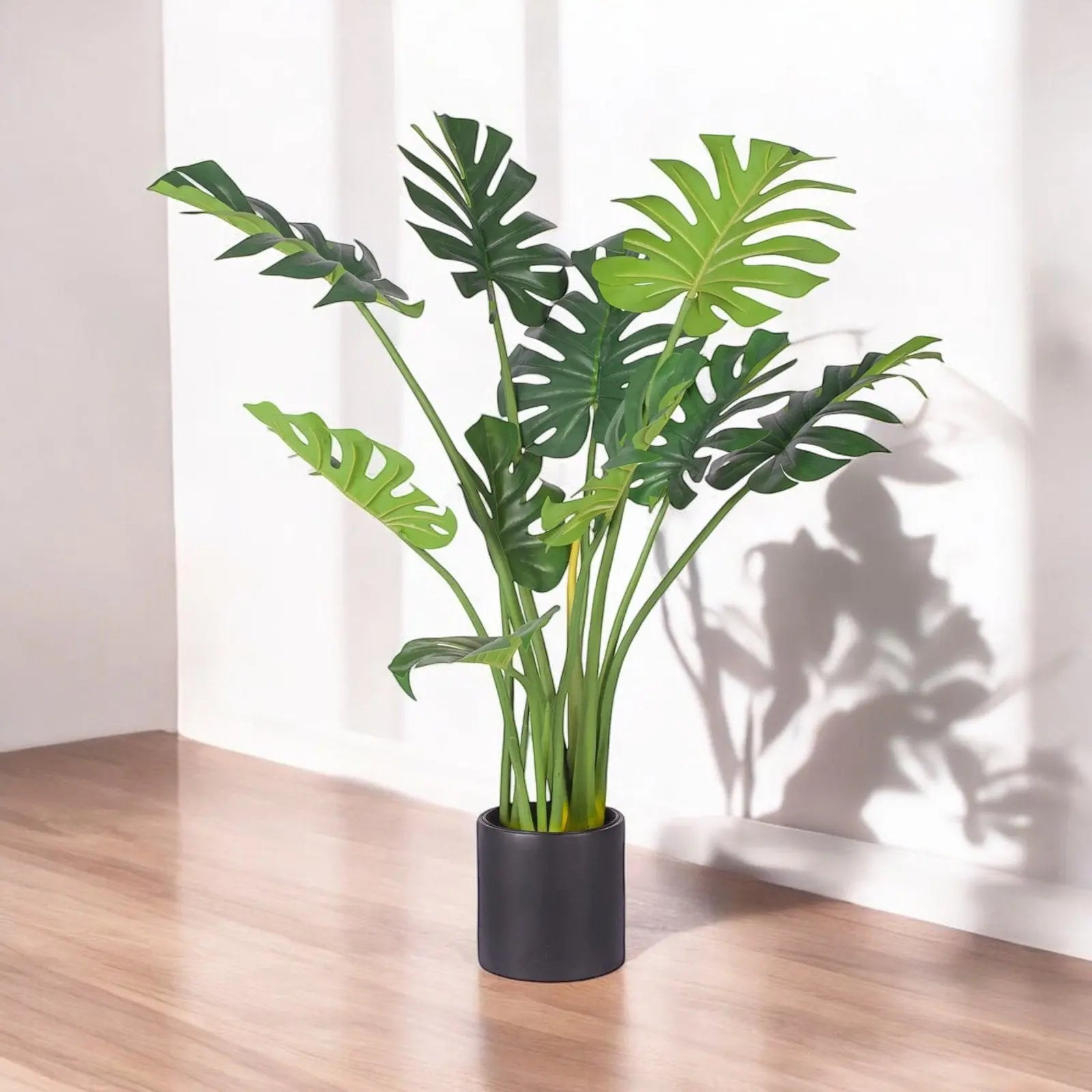 Monstera Bonsai (113 CM) My Store