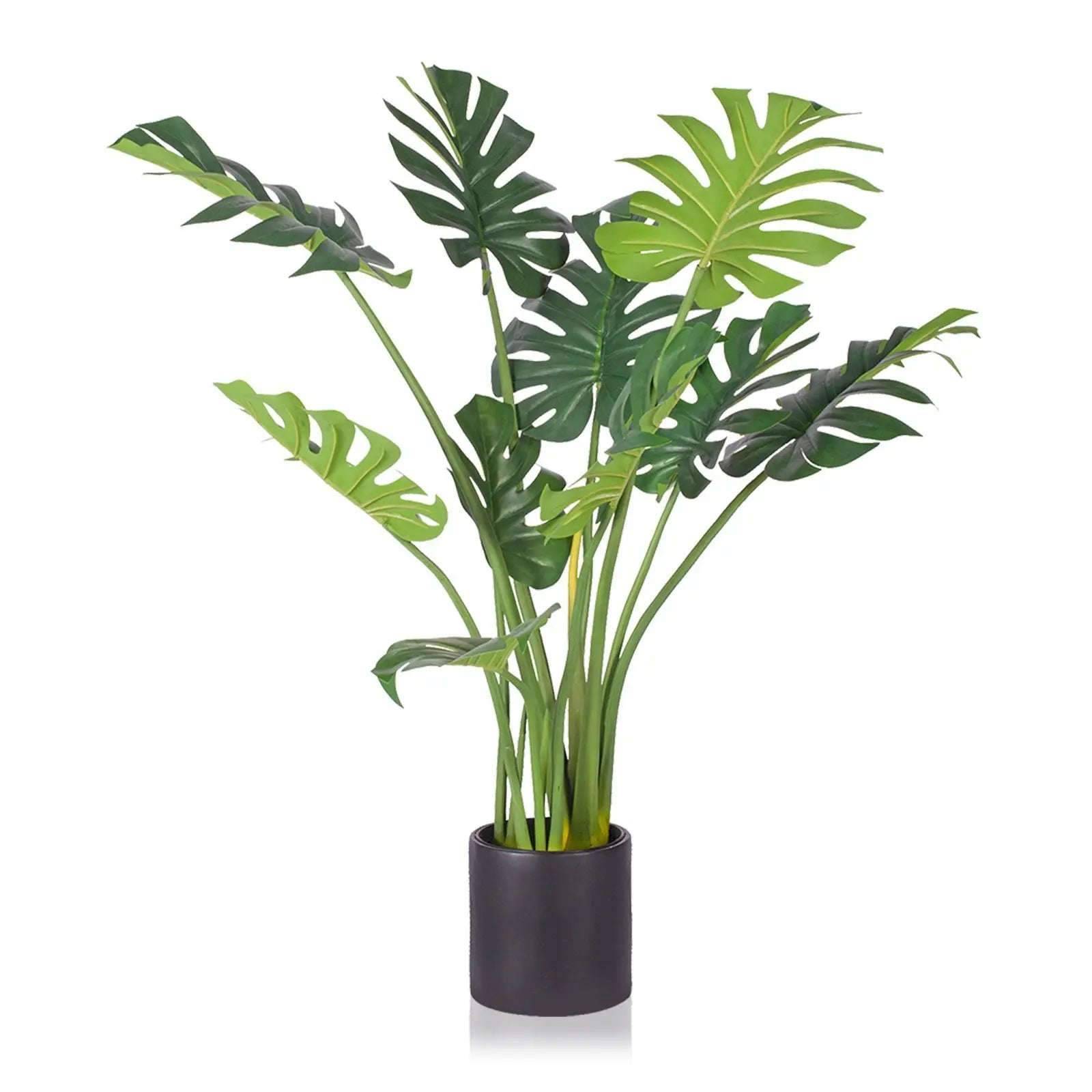 Monstera Bonsai (113 CM) My Store