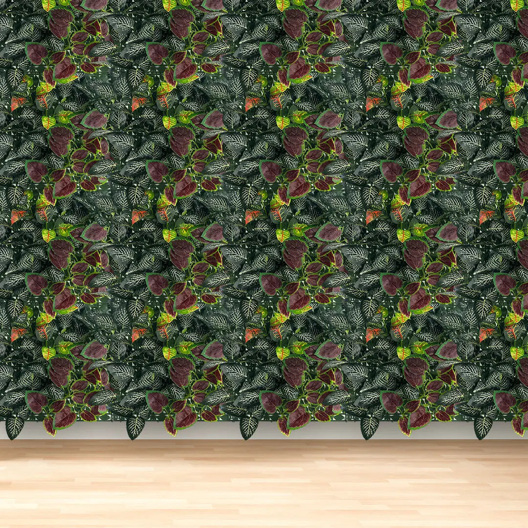 Codiaeum Variegatum Pictum Mix Vertical Garden | Pack of 3 Enutrof Decor