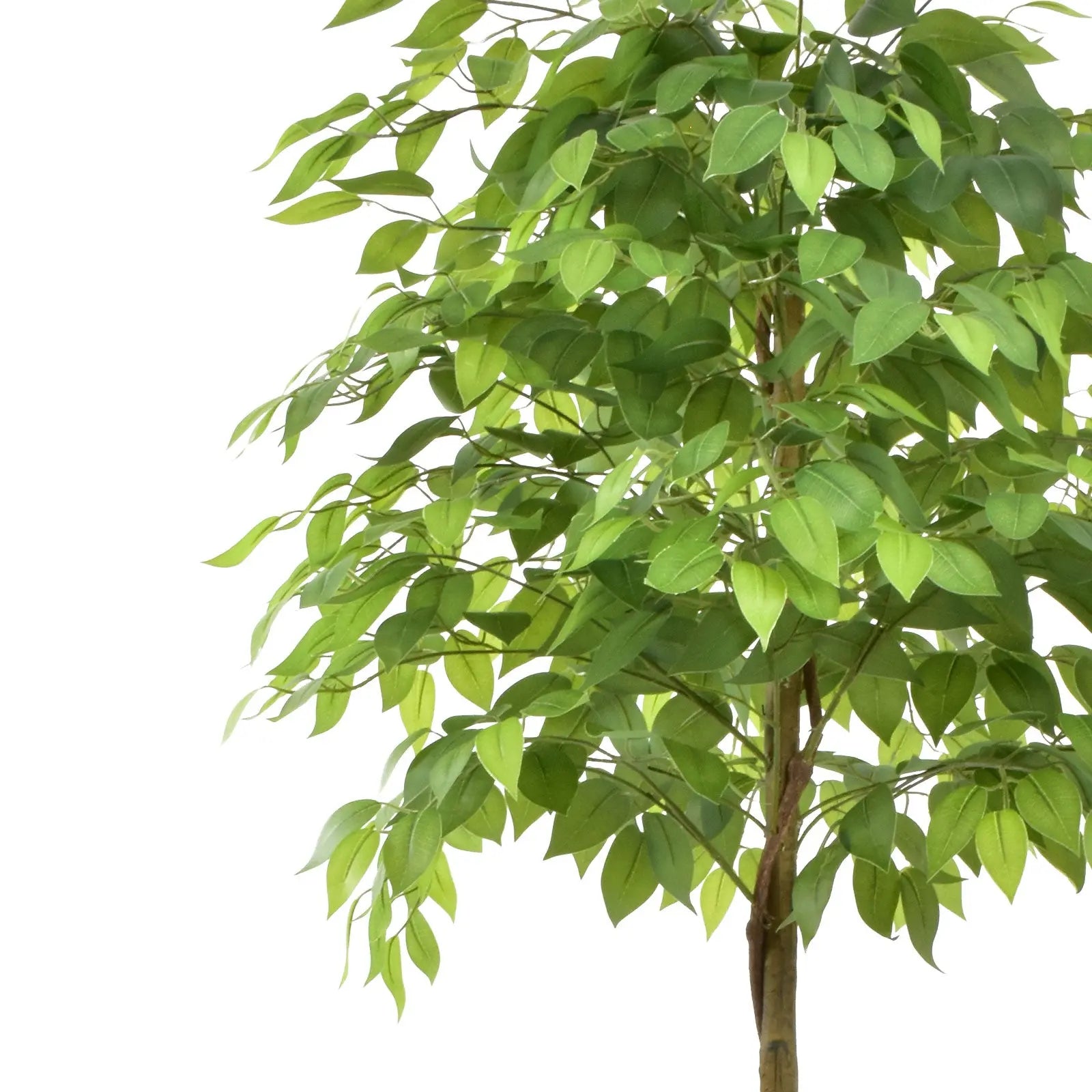 Premium 6ft Artificial Ficus Tree – Lifelike Indoor Decorative Plant (180 cm) Enutrof Decor