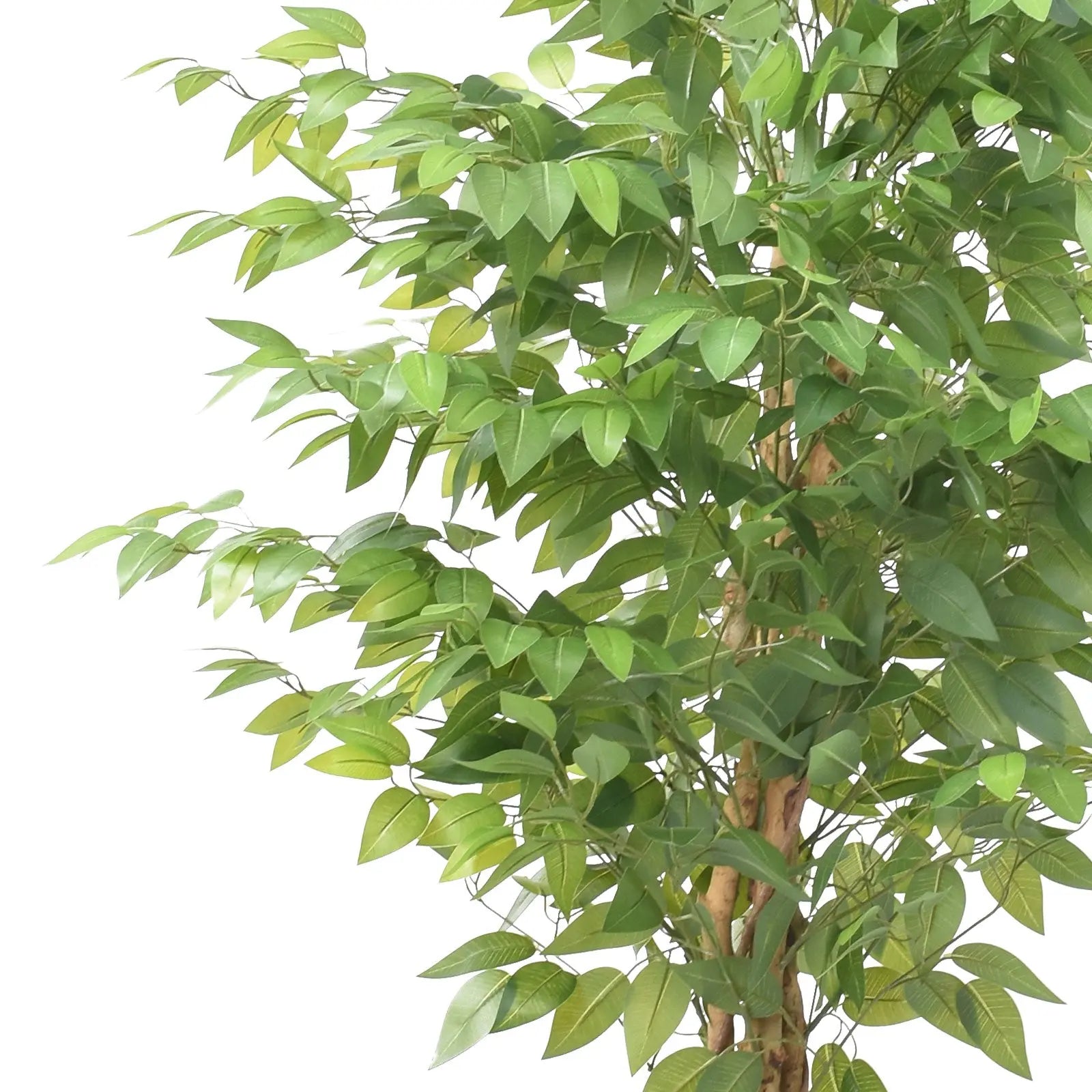 Artificial Ficus Tree – 180 CM | Indoor Green Decorative Tree Enutrof Decor
