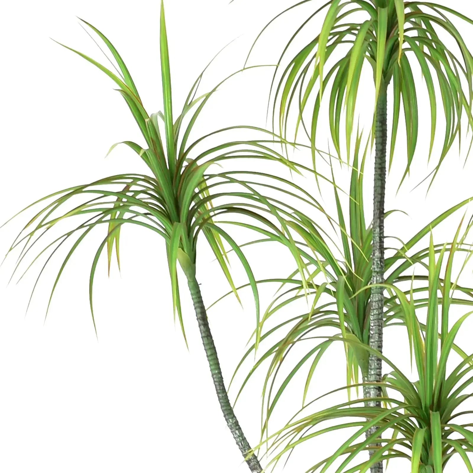 Artificial Iron Tree – 210 CM | Indoor Decorative Tree Enutrof Decor