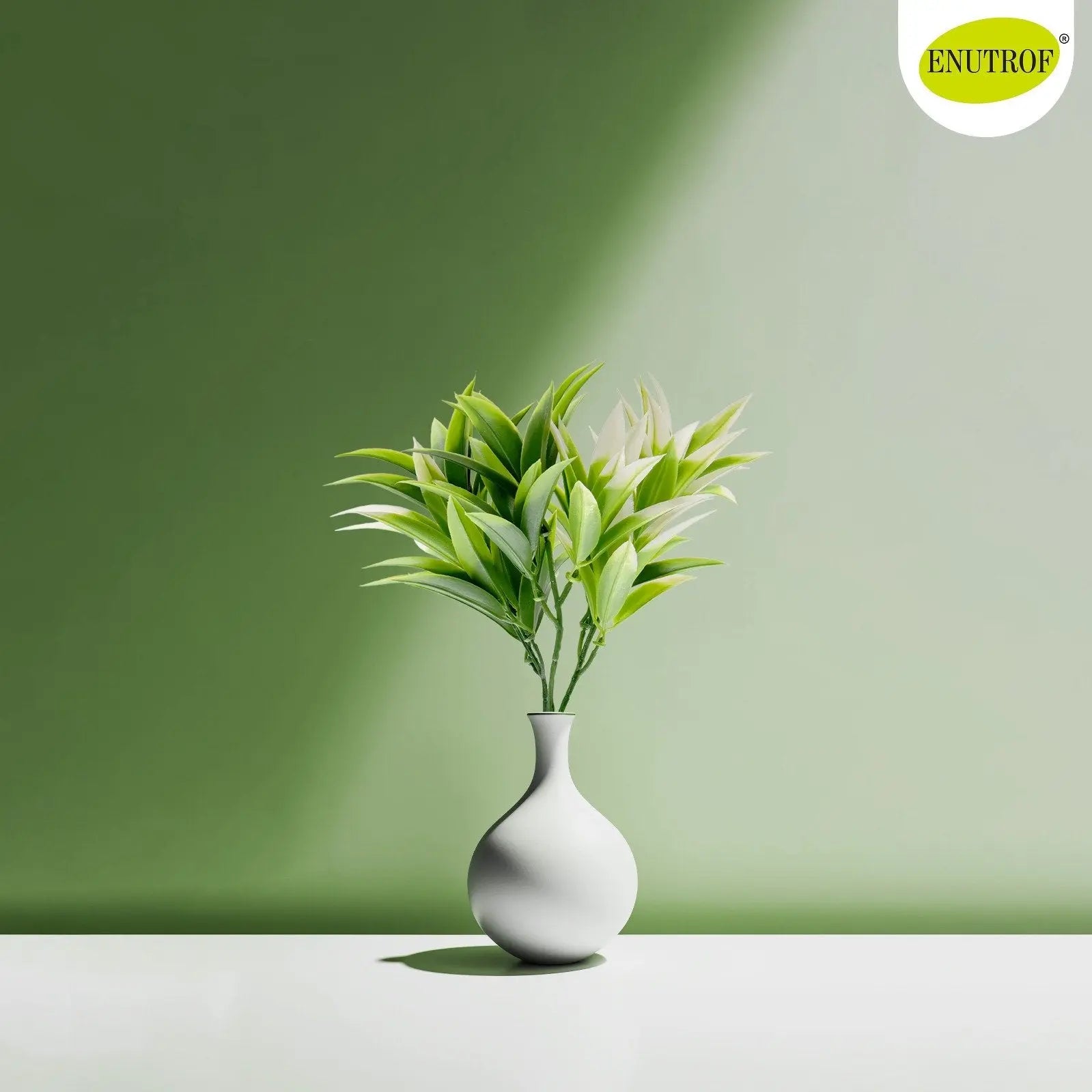 Nageia Fleuryi Artificial Plant Bunch | Pack of 3 My Store