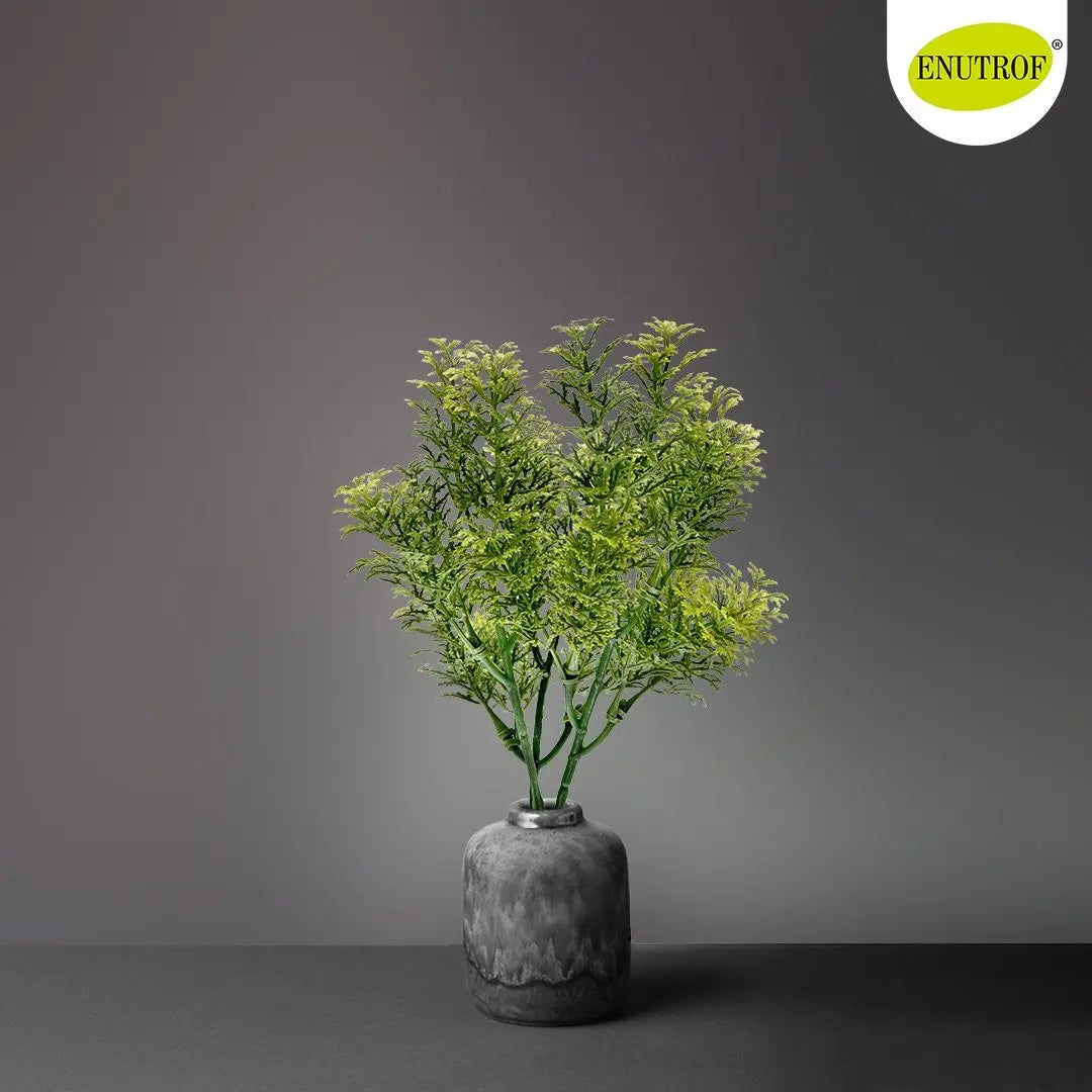 Houttuynia Cordata Artificial Leaf Bunch | Pack of 3 My Store