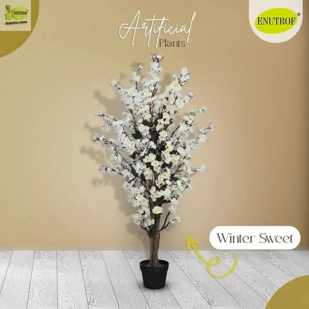 Winter Sweet Artificial Plant (120 cm) with White Planter My Store