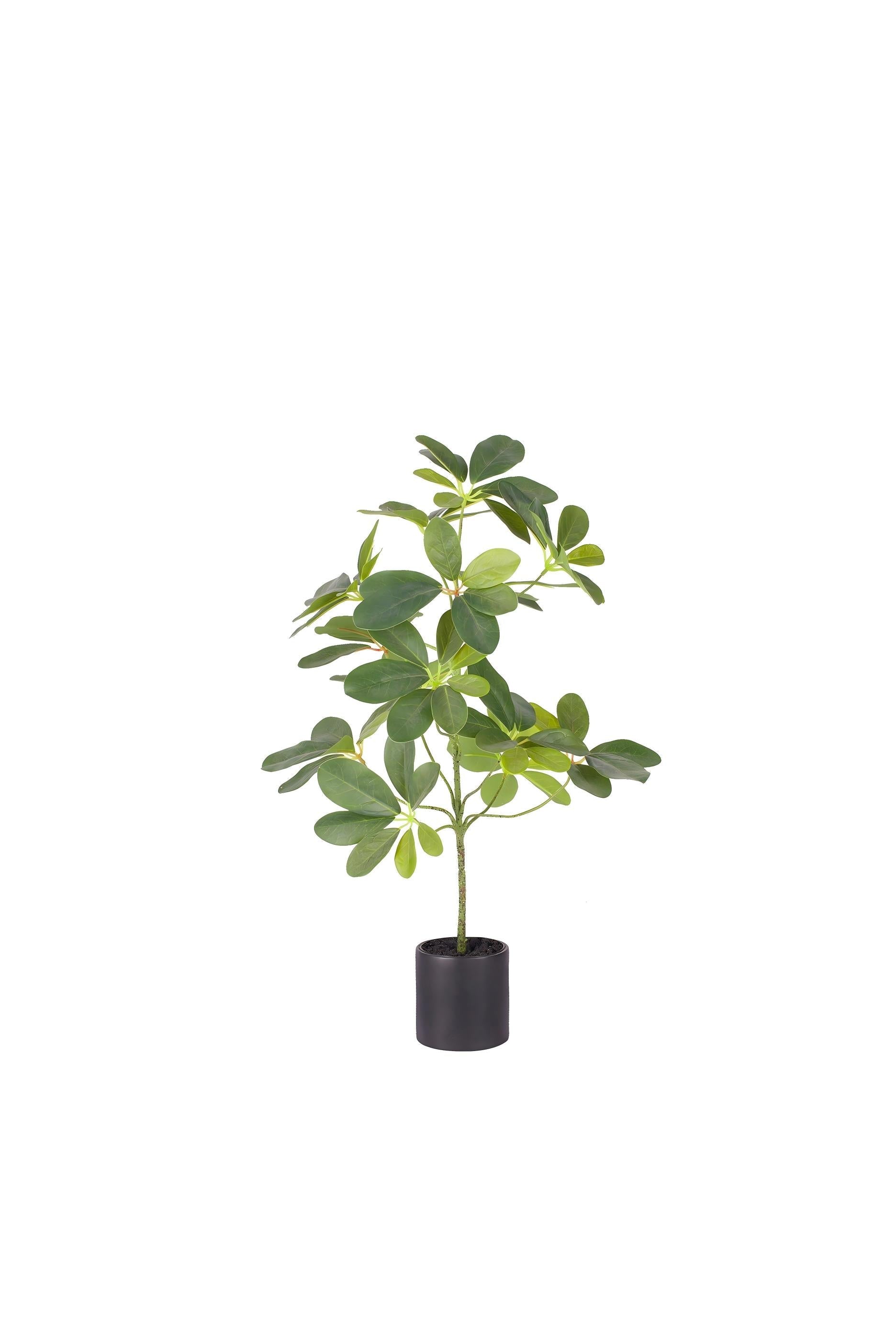 ENUTROF Artificial Small Plant 50cm – Realistic Fake Potted Plant for Desk Home Decor ENUTROF