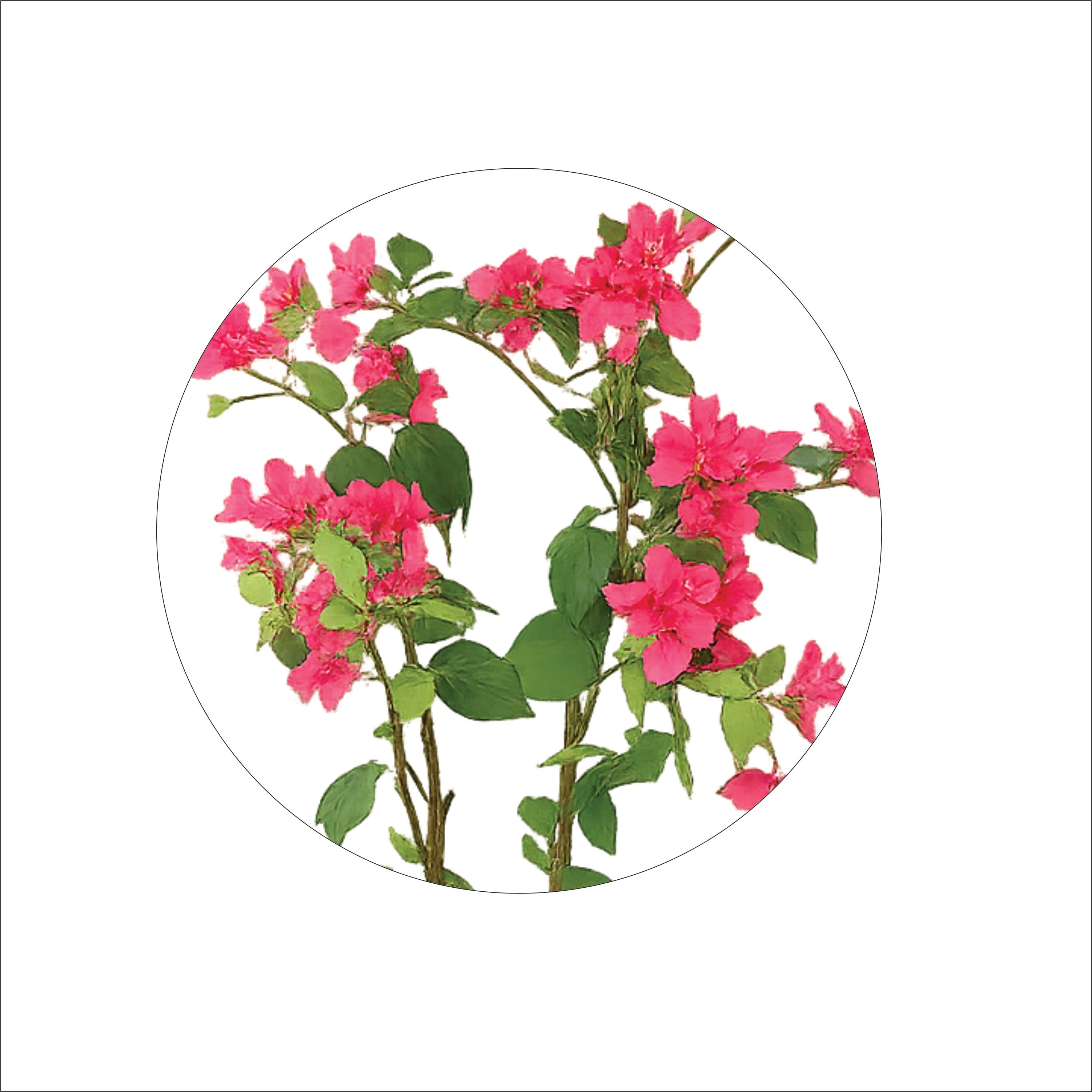 ENUTROF Artificial Pink Bougainvillea Plant – 120cm Fake Flowering Tree for Home & Event Decor ENUTROF
