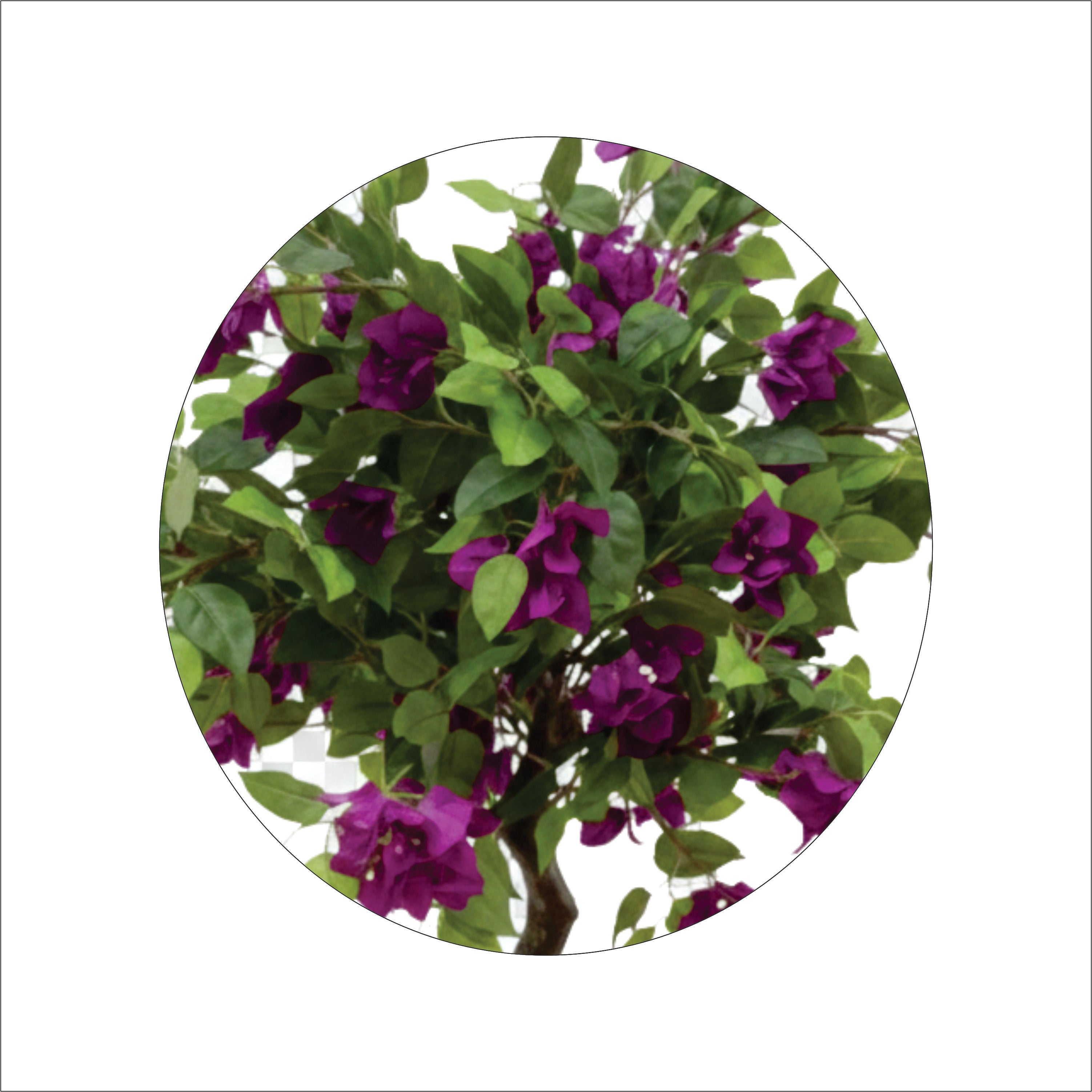 ENUTROF Artificial Purple Bougainvillea Bonsai Tree – 120cm Fake Flowering Plant for Home Decor ENUTROF
