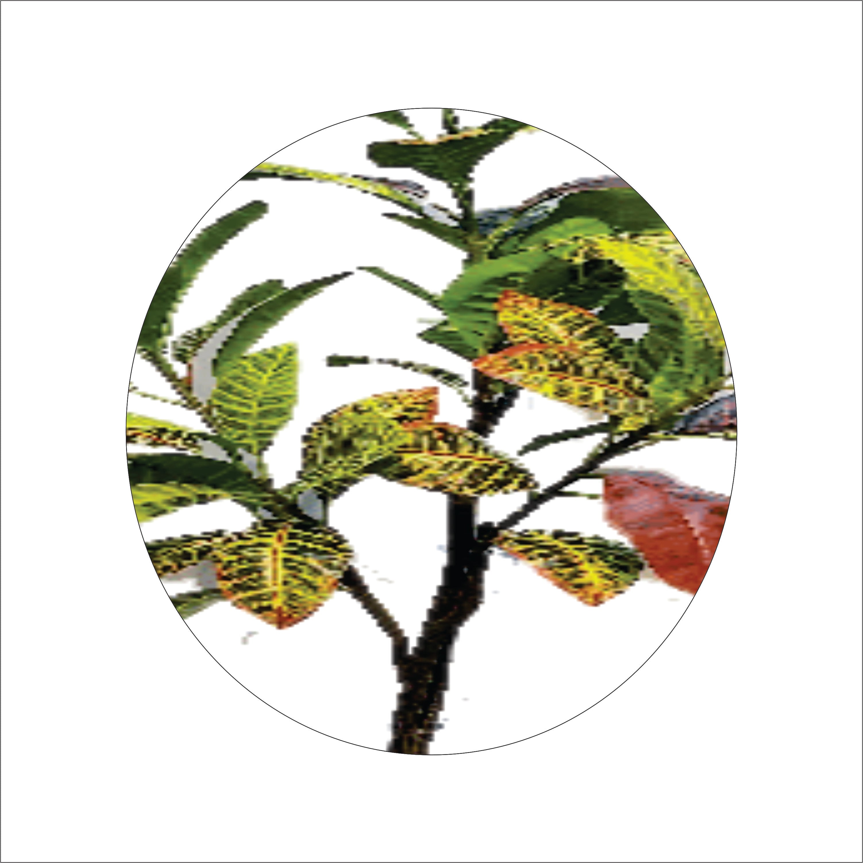 ENUTROF Artificial Croton Plant – 120cm Vibrant Multicolour Fake Plant for Home Decor ENUTROF