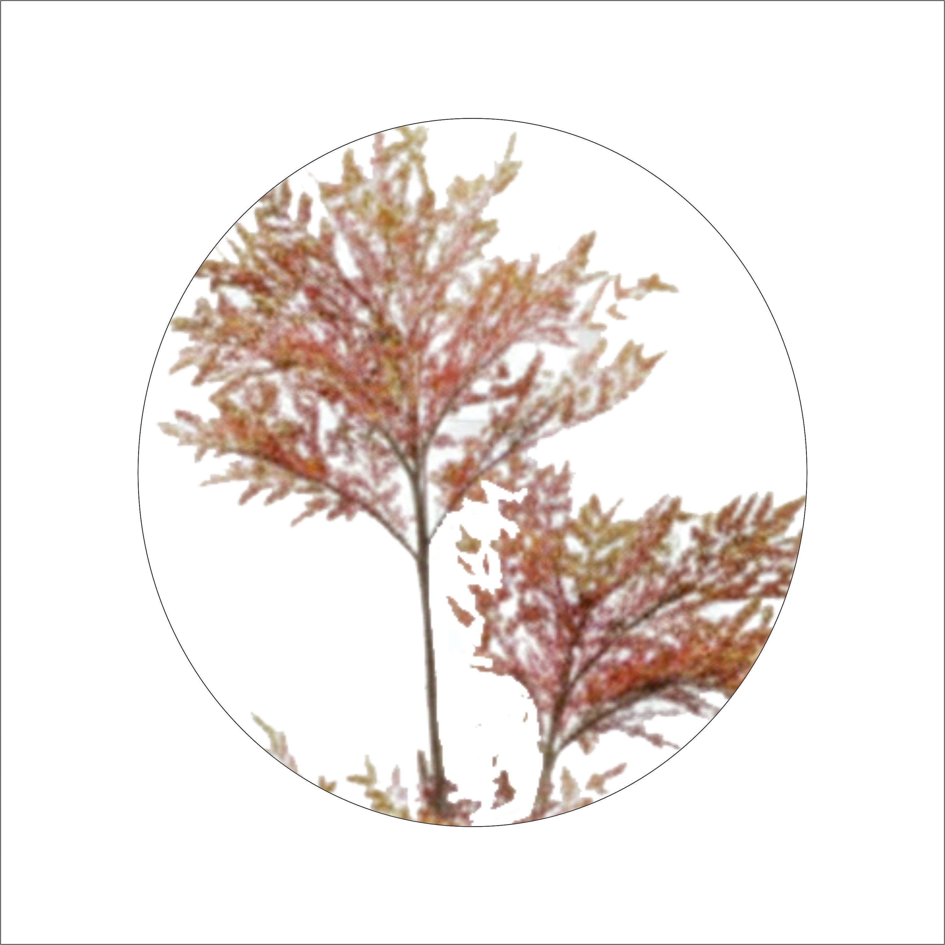 ENUTROF Artificial Japanese Red Fern Tree – 120cm Dramatic Autumn Plant for Indoor Decor ENUTROF