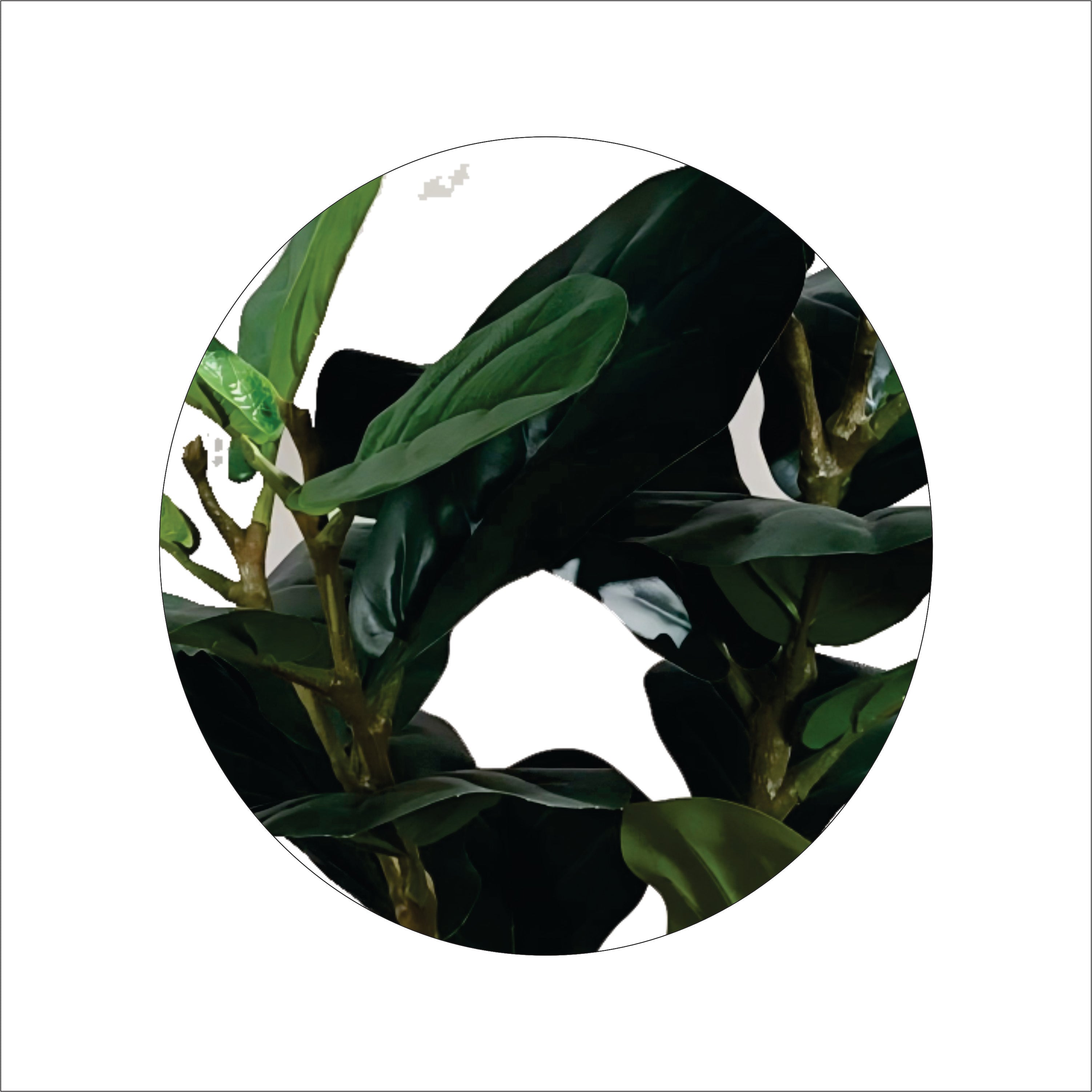 ENUTROF Artificial Rubber Tree Ficus Elastica – 120cm Fake Indoor Plant for Home Decor ENUTROF