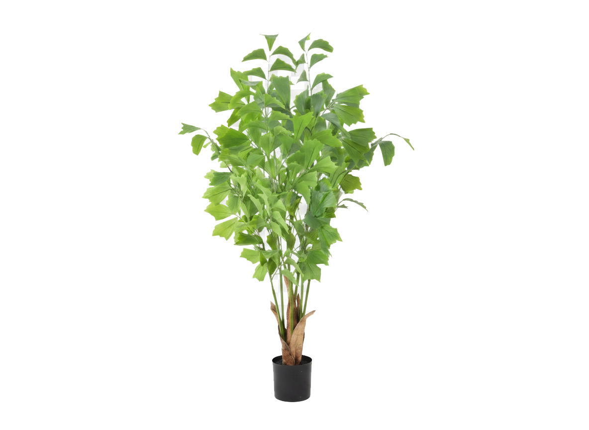 ENUTROF Artificial Ginkgo Maidenhair Tree – 120cm Unique Fan-Leaf Plant for Home Decor ENUTROF