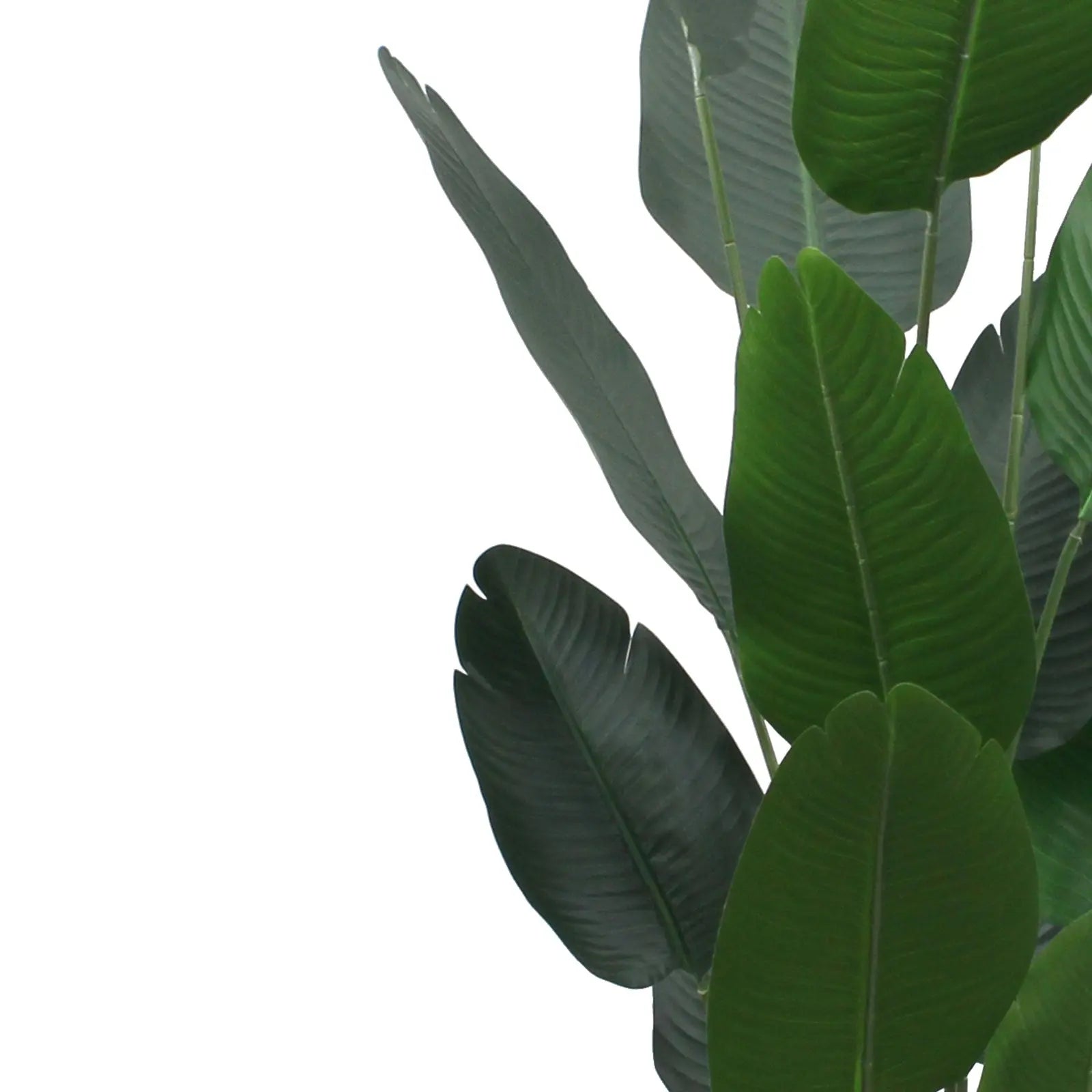 Artificial Banana Tree – 200 CM | Tropical Indoor Greenery Enutrof Decor