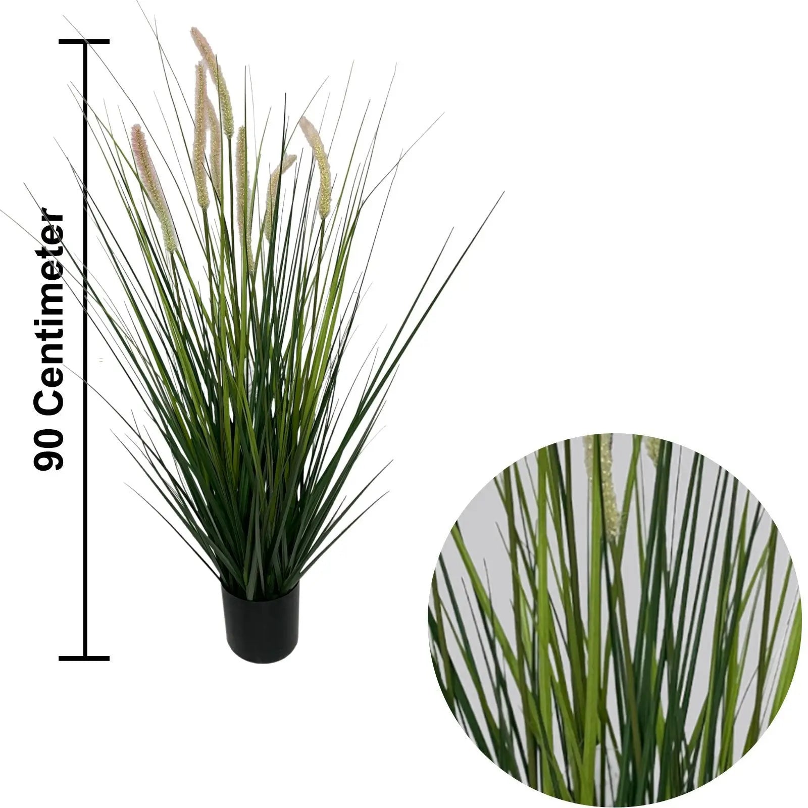 Onion grass with reeds My Store