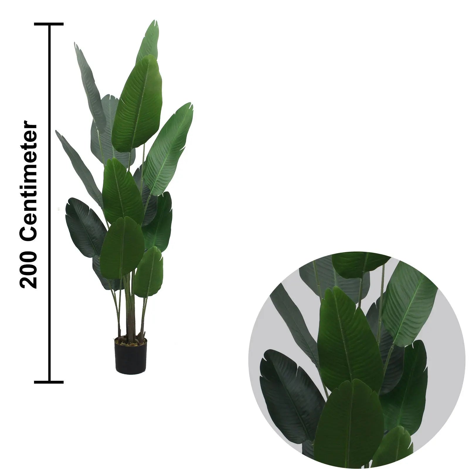 Artificial Banana Tree – 200 CM | Tropical Indoor Greenery Enutrof Decor