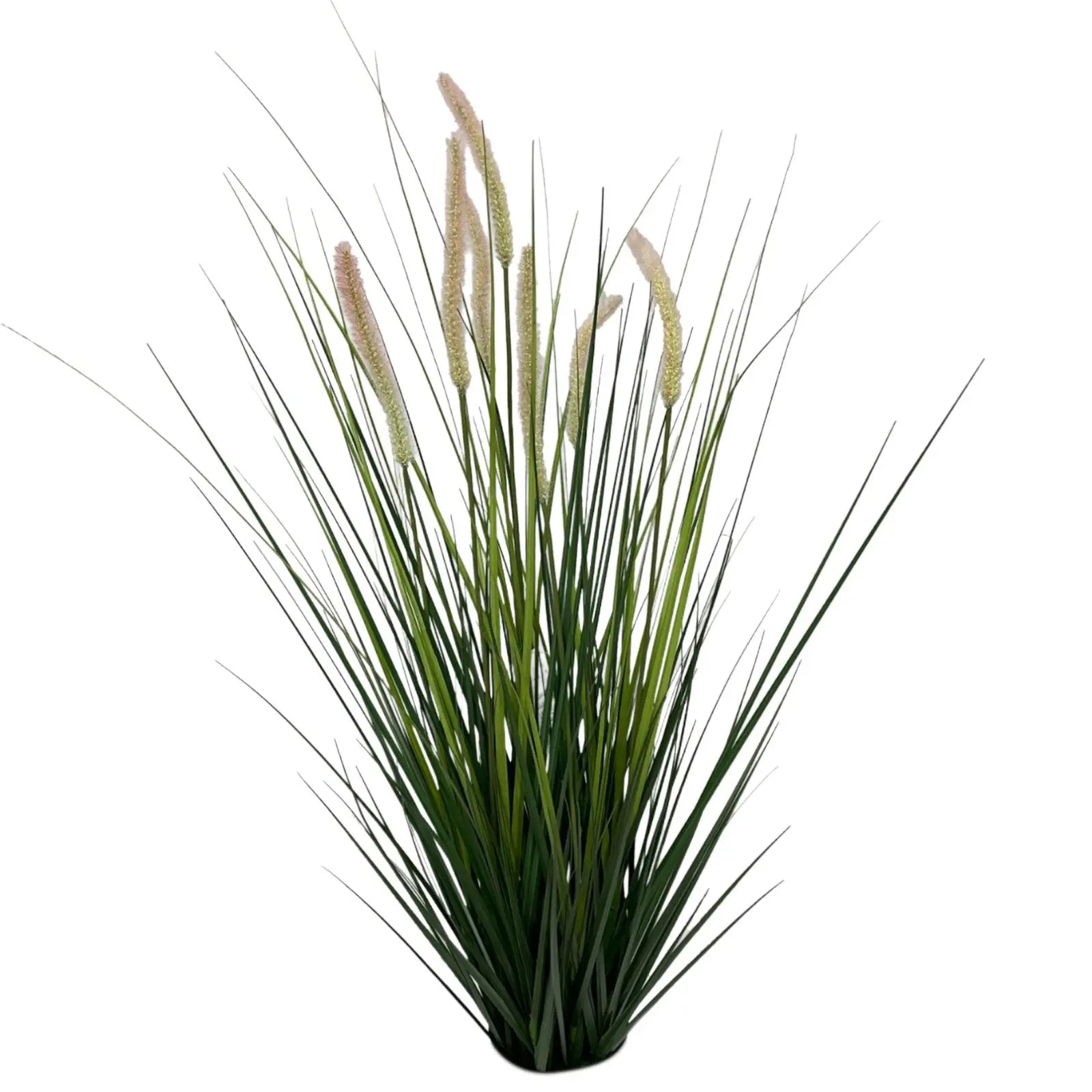 Onion grass with reeds My Store