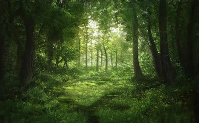 The Ultimate Tree Planting Guide: How to Buy and Plant Trees Online in 2026 Enutrof Decor