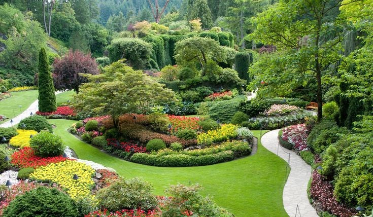 Transform Your Space with Enutrof Decor’s Artificial Greenery Solutions