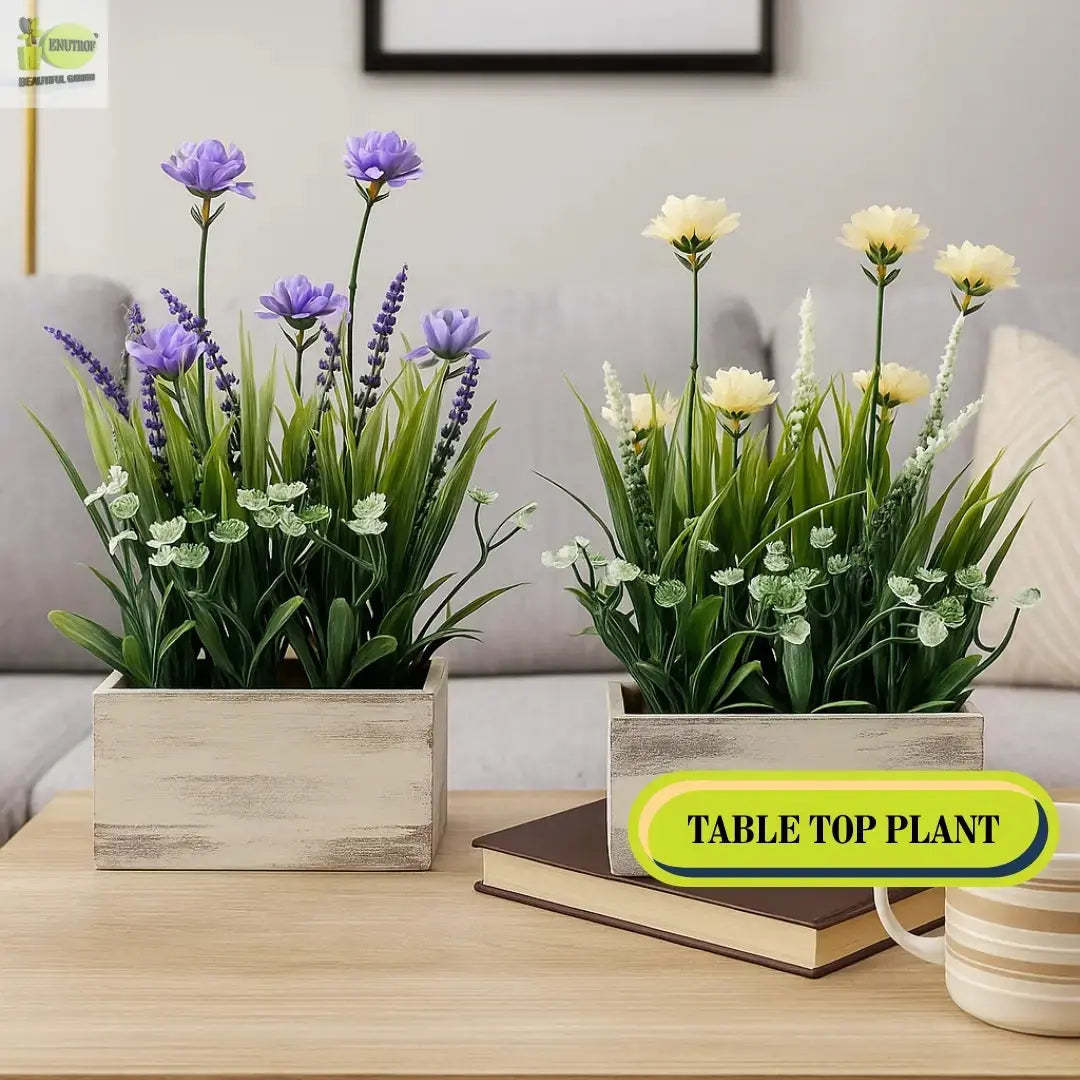 Beautiful Small Plants for Table Decor | Enhance Your Space – Enutrof Decor