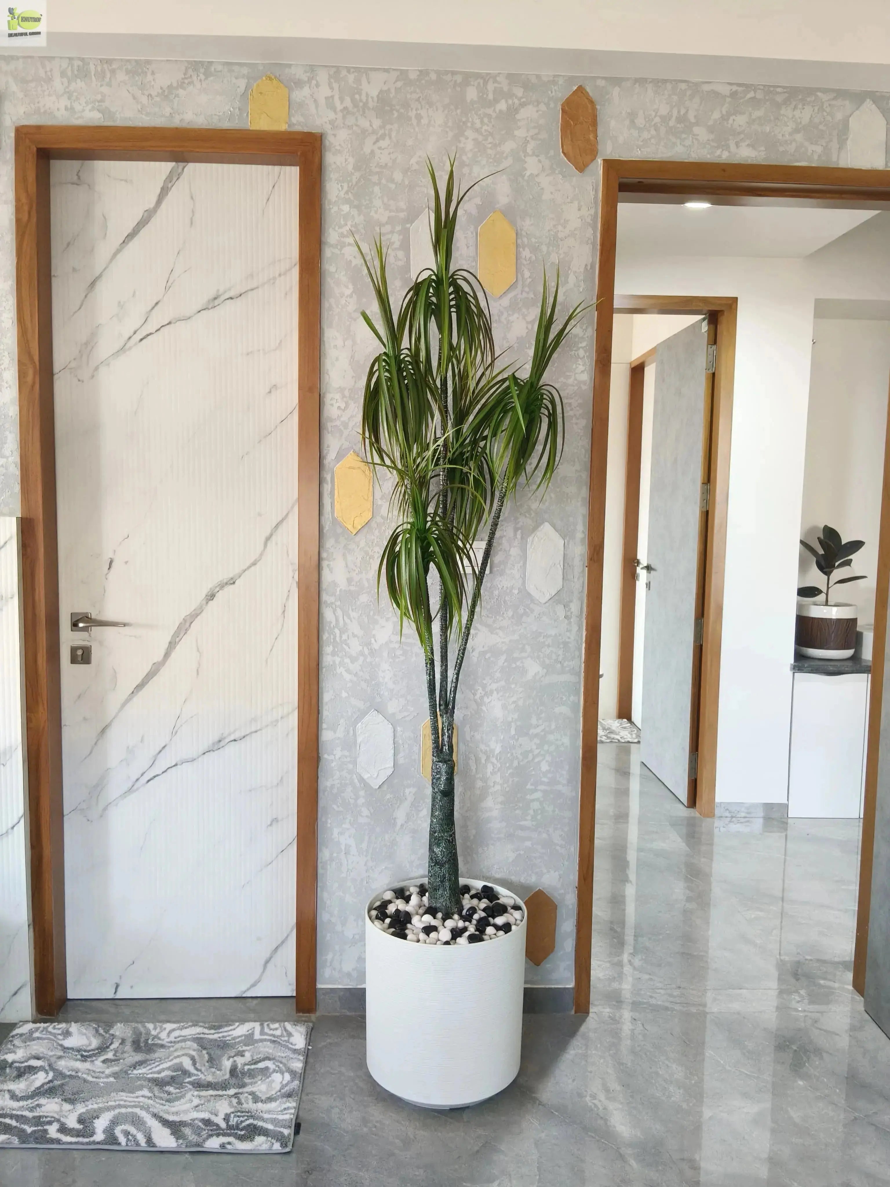 Tree (More than 180cm) - Enutrof Decor