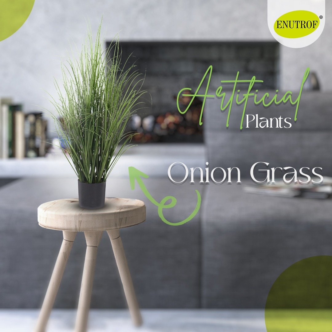 Onion grass Artificial plant With Basic White Pot || Size:80 CM Height