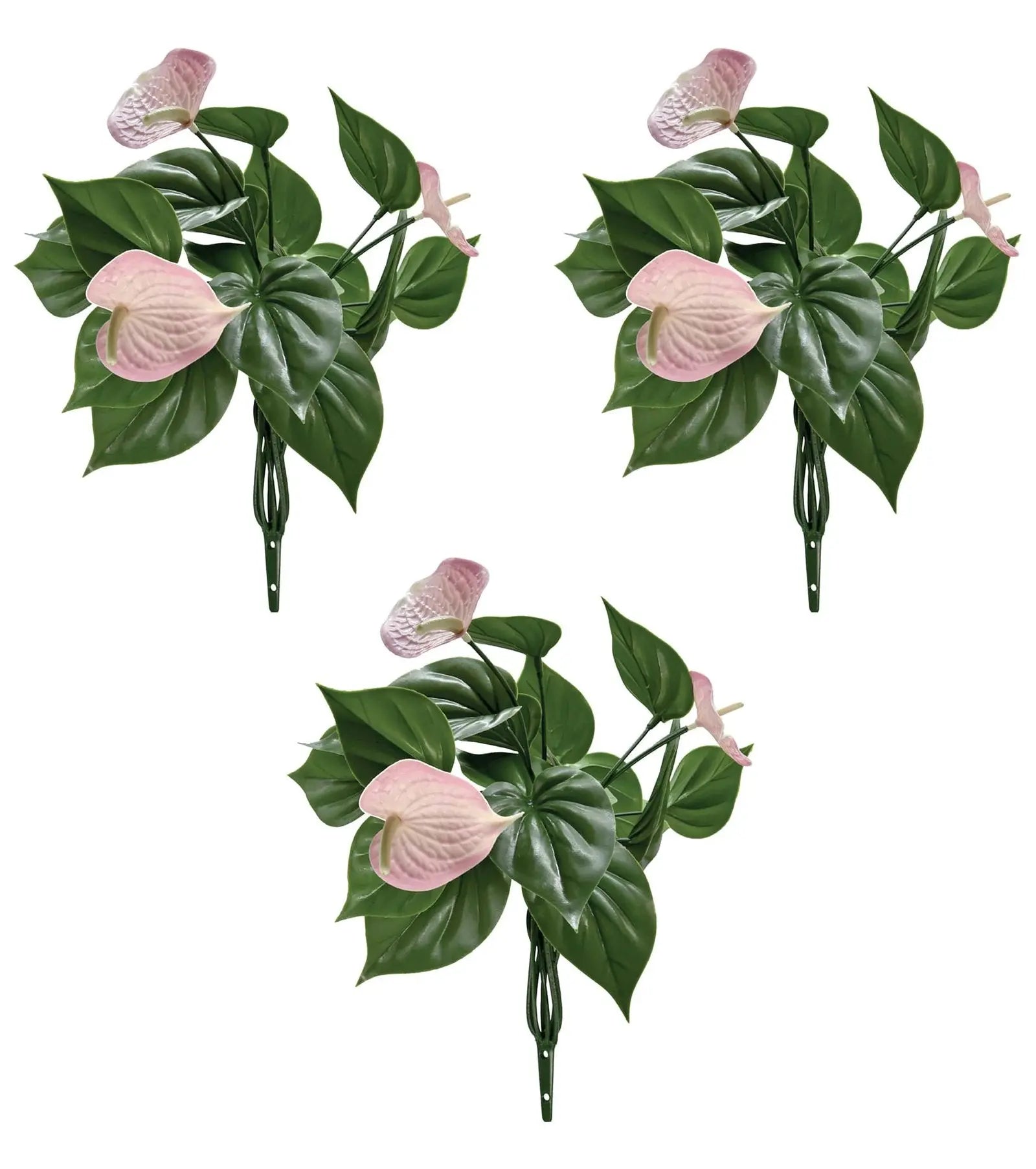 Anthurium Bunch Flower | Pack of 3 My Store