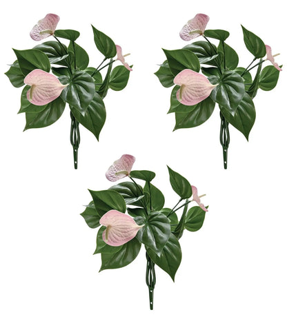 Anthurium Bunch Flower | Pack of 3 My Store