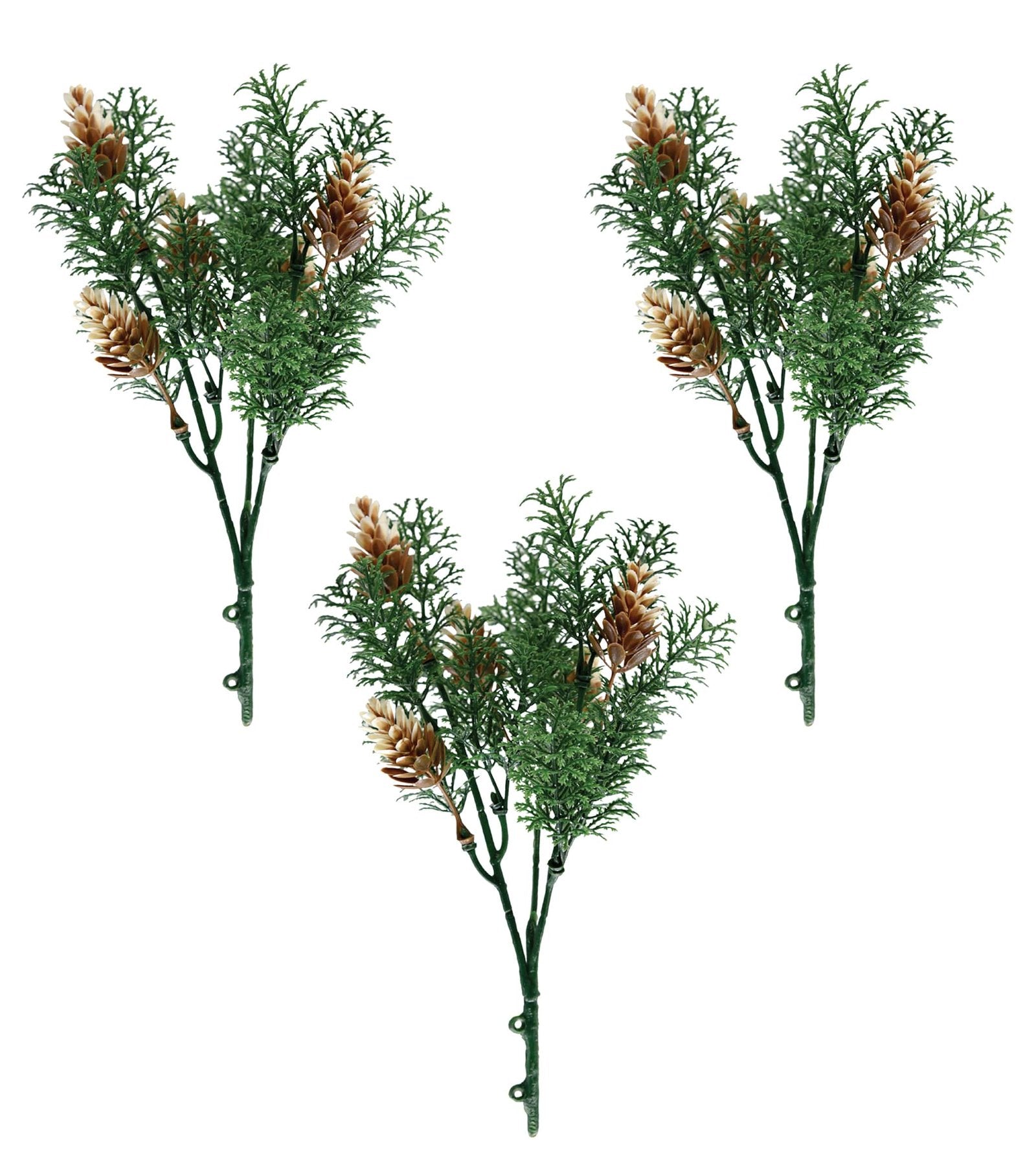 Spruce Plant Bunch | Pack of 3