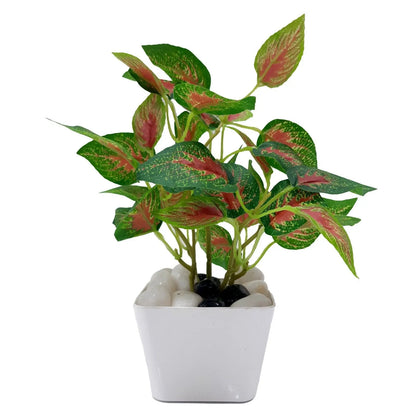 Aglaonema Plant Real Touch Artificial Plant With Basic Pot (Pack of 3) || Size: 40 Cm Size || Color: Green My Store