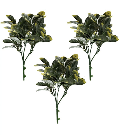 Artificial Baby Rubber Plant Bunch | Pack of 3 My Store