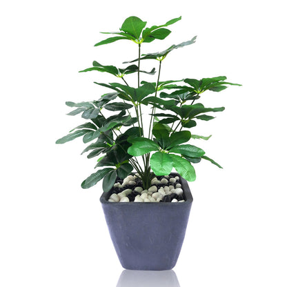 Schefflera Plant Artificial With Basic White Pot ||Size:52CM