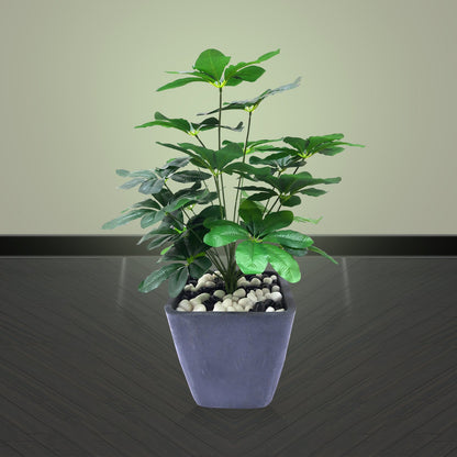 Schefflera Plant Artificial With Basic White Pot ||Size:52CM