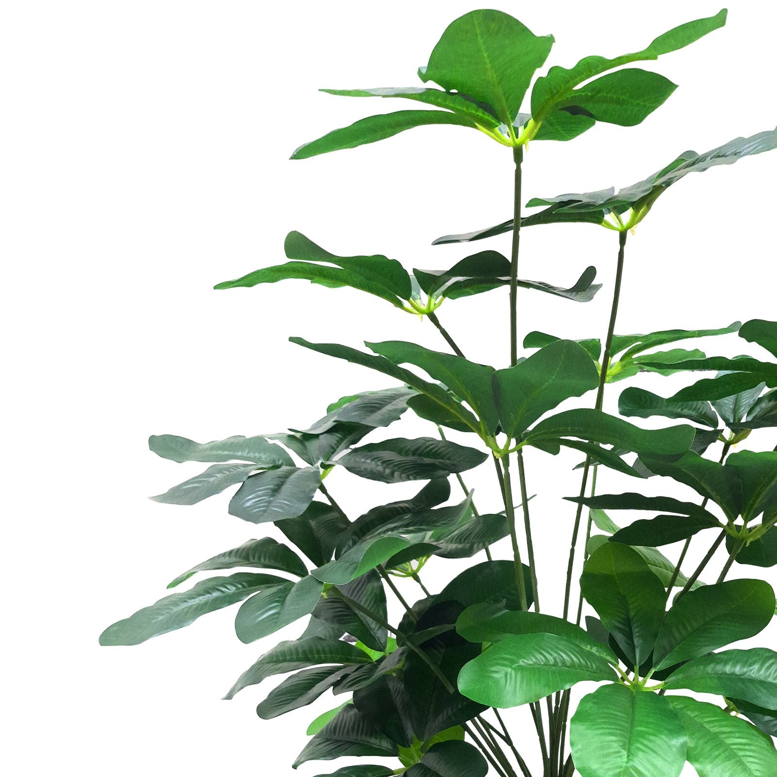 Schefflera Plant Artificial With Basic White Pot ||Size:52CM