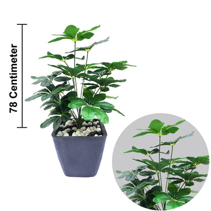 Schefflera Plant Artificial With Basic White Pot ||Size:52CM