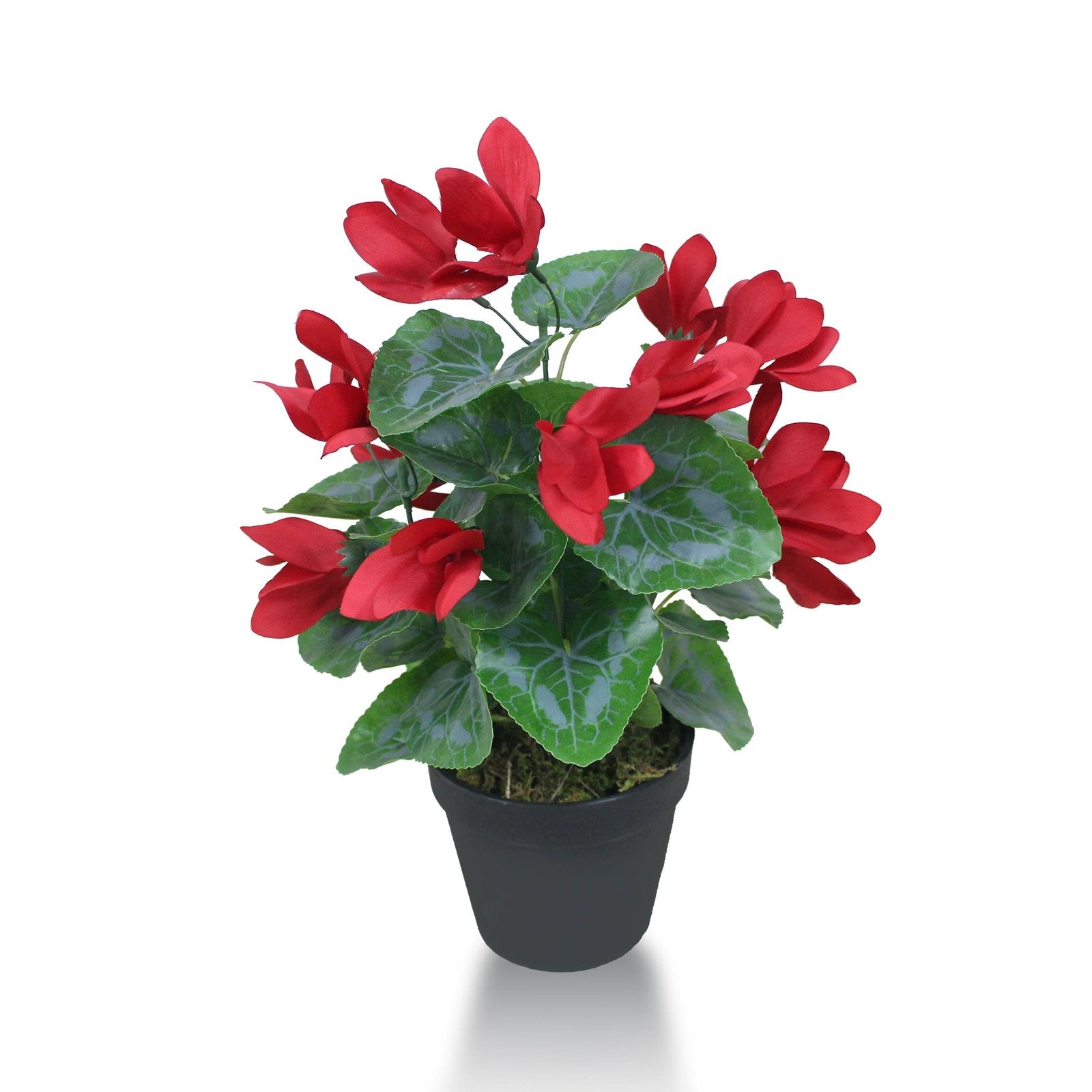 Cyclamen Plant Artificial With Basic Pot || 38cm Height II Color: Red Flower with Green Leaves