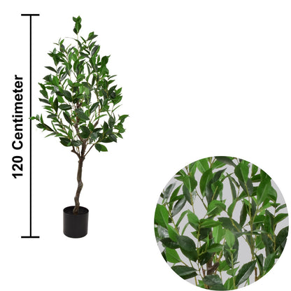 Laurel Artificial plant (120 CM)