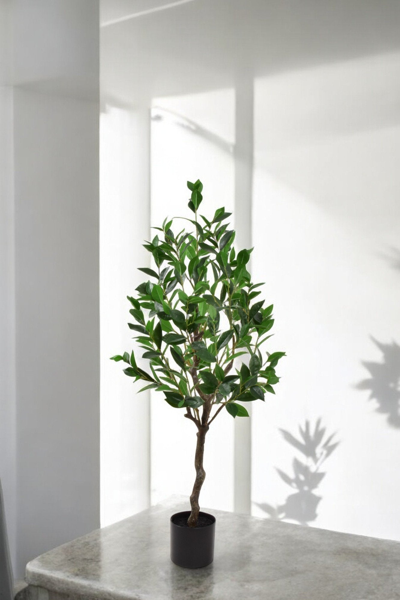 Laurel Artificial plant (120 CM)